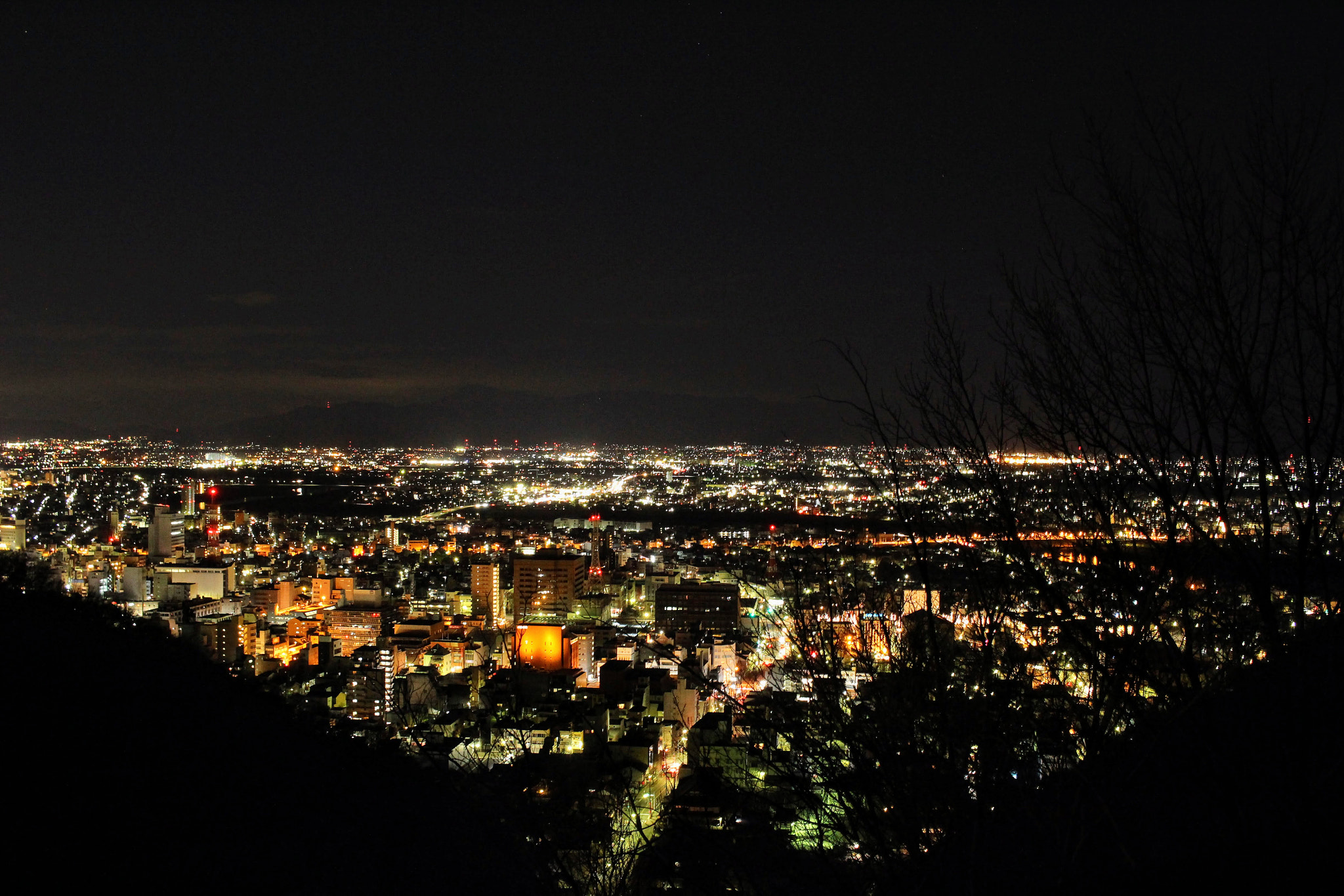 Canon EOS 100D (EOS Rebel SL1 / EOS Kiss X7) + Canon EF-S 24mm F2.8 STM sample photo. 金華山より岐阜市夜景 photography