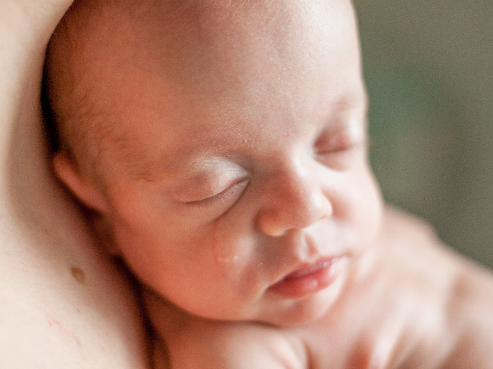 Canon EOS 50D + Canon EF 50mm F1.8 STM sample photo. Sleepy photography
