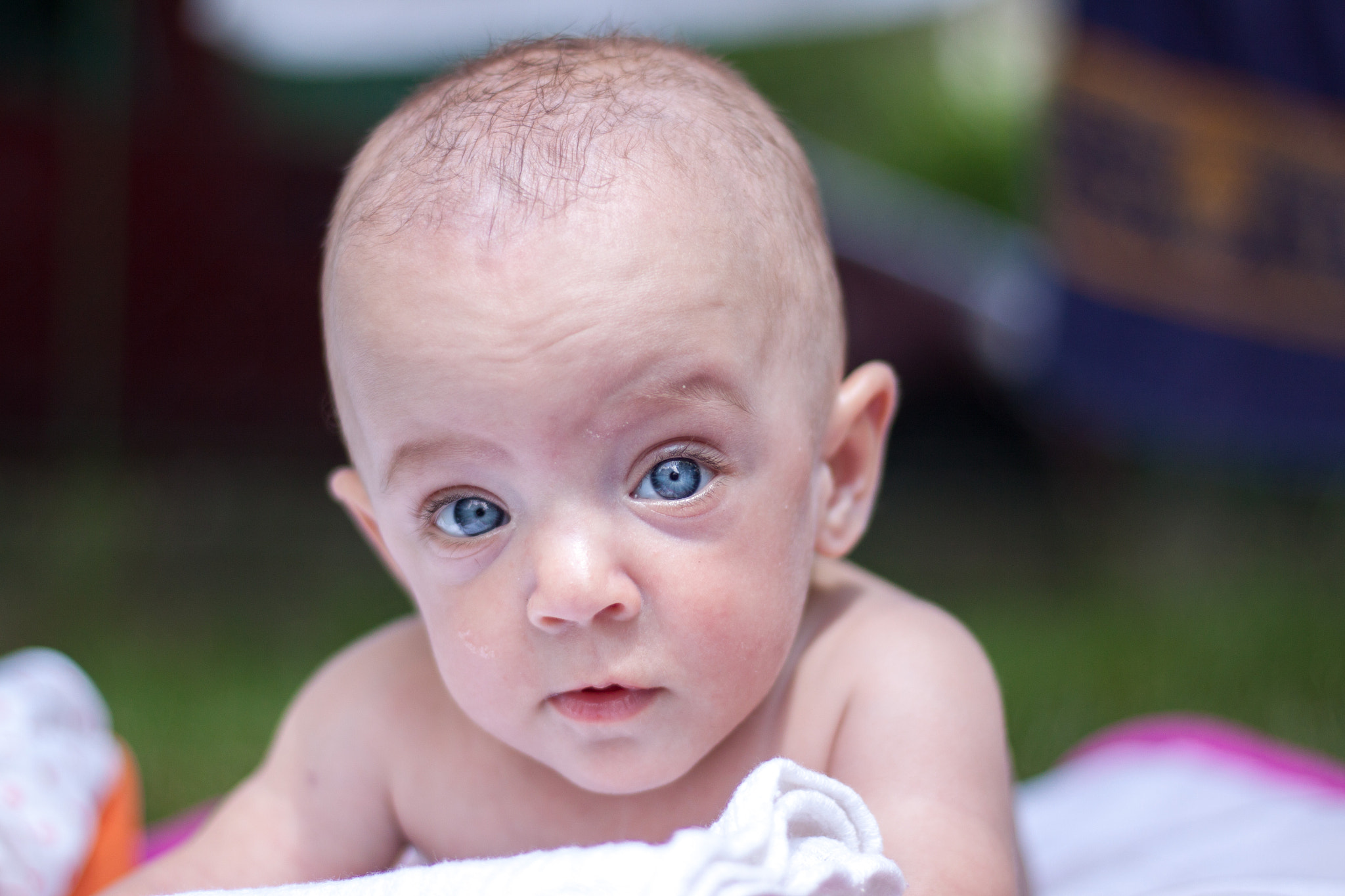 Canon EOS 50D + Canon EF 50mm F1.8 STM sample photo