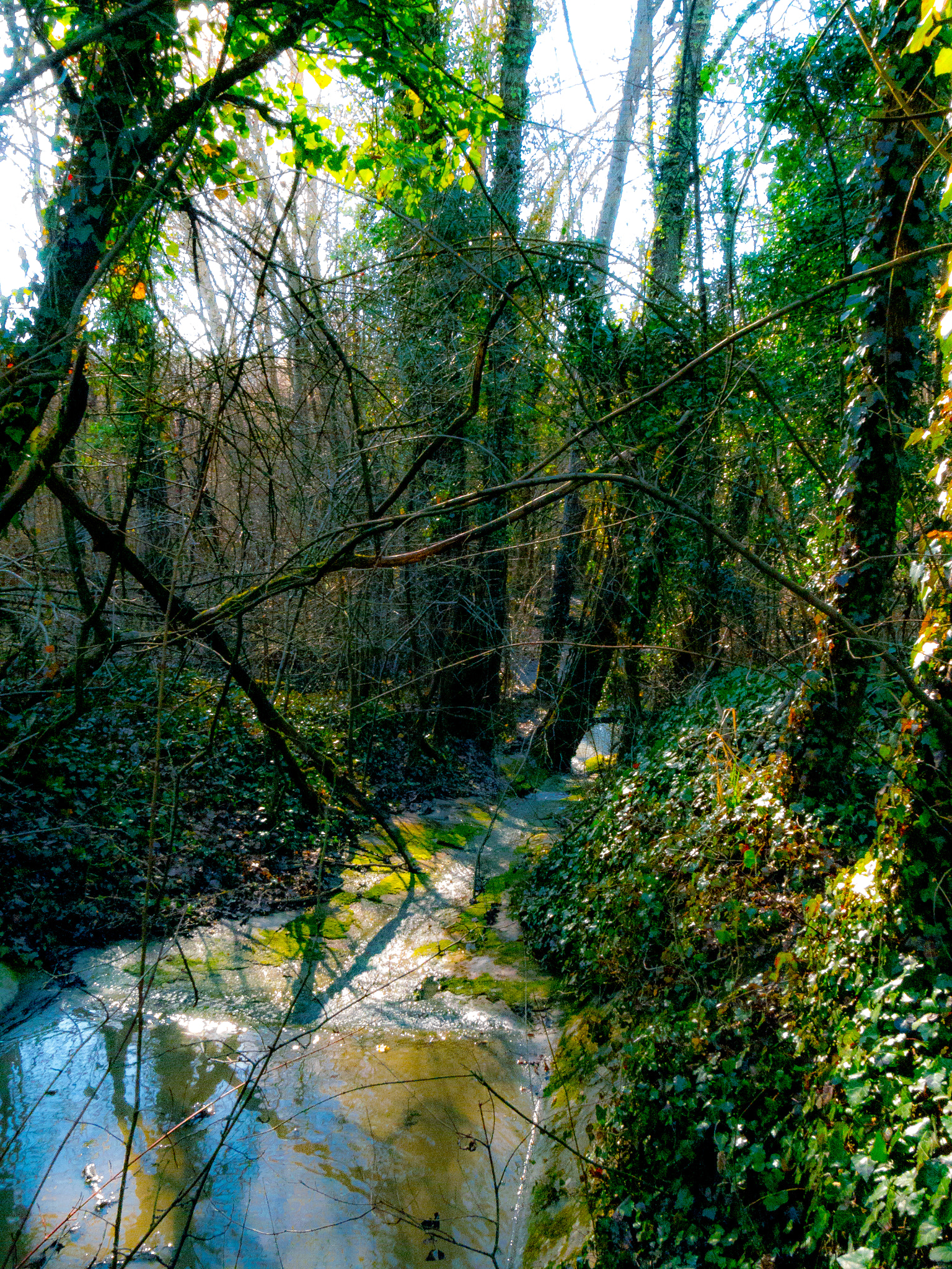 Panasonic Lumix DMC-G6 sample photo. Flood photography