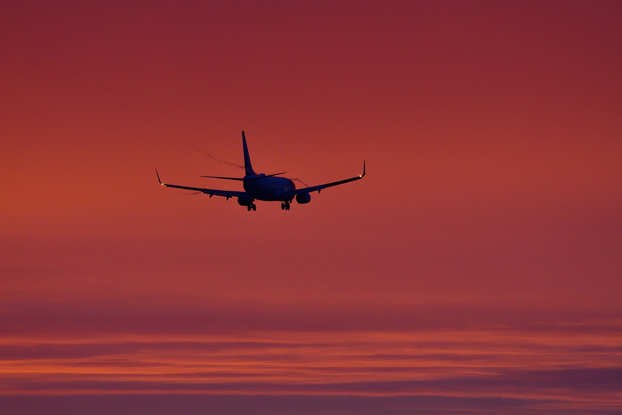 Nikon D500 + Nikon AF-S Nikkor 300mm F4D ED-IF sample photo. Landing towards the dawn photography