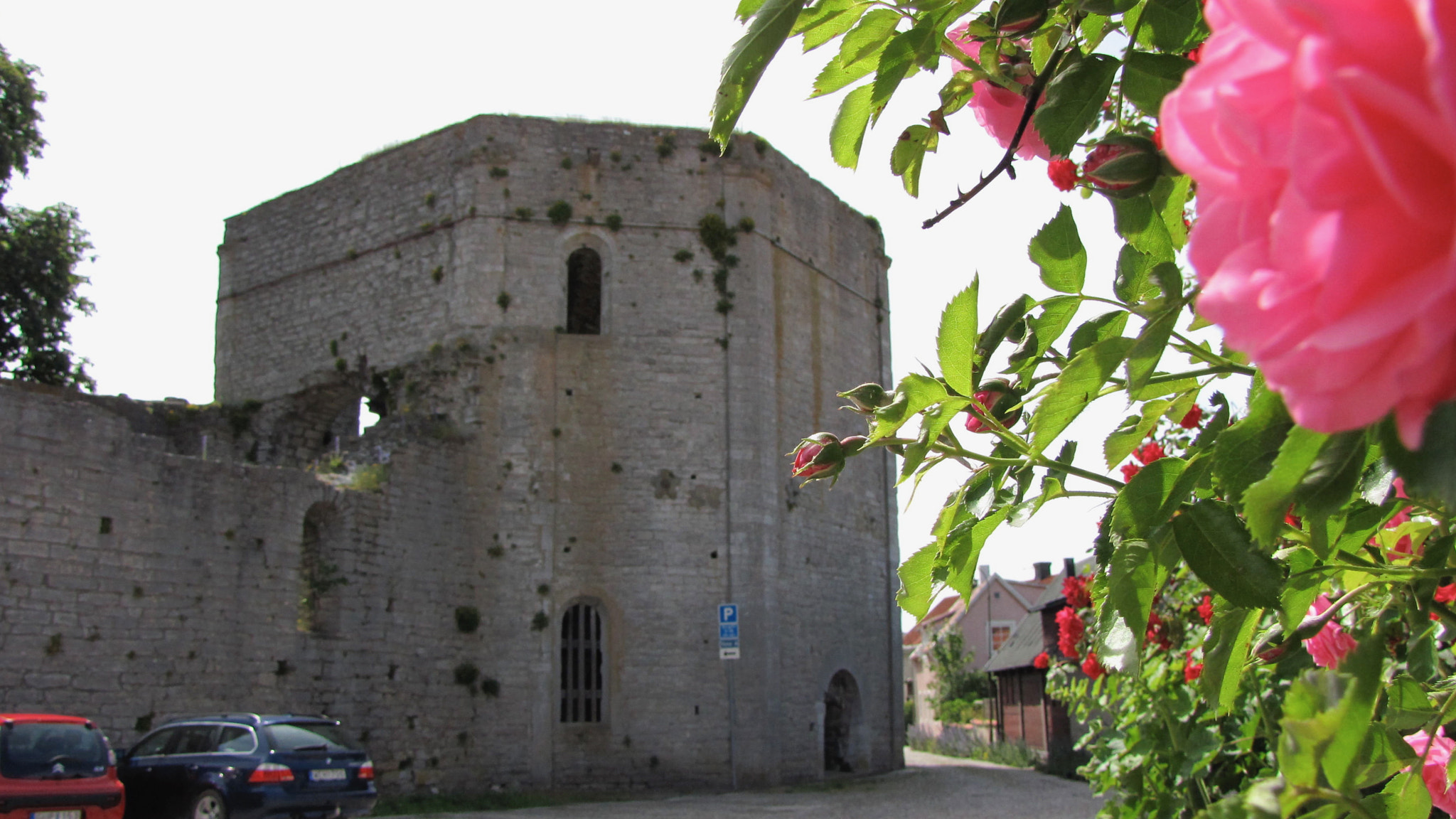 Canon PowerShot SX1 IS sample photo. S:t clemens ruin i visby photography