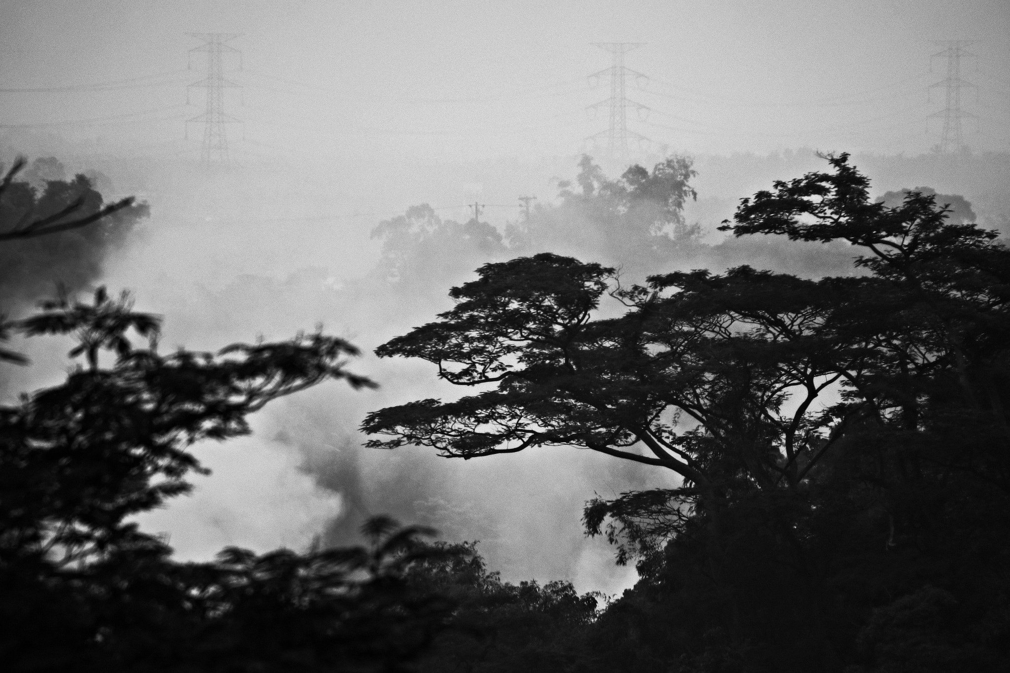 Canon EOS M5 sample photo. Heavy mist photography