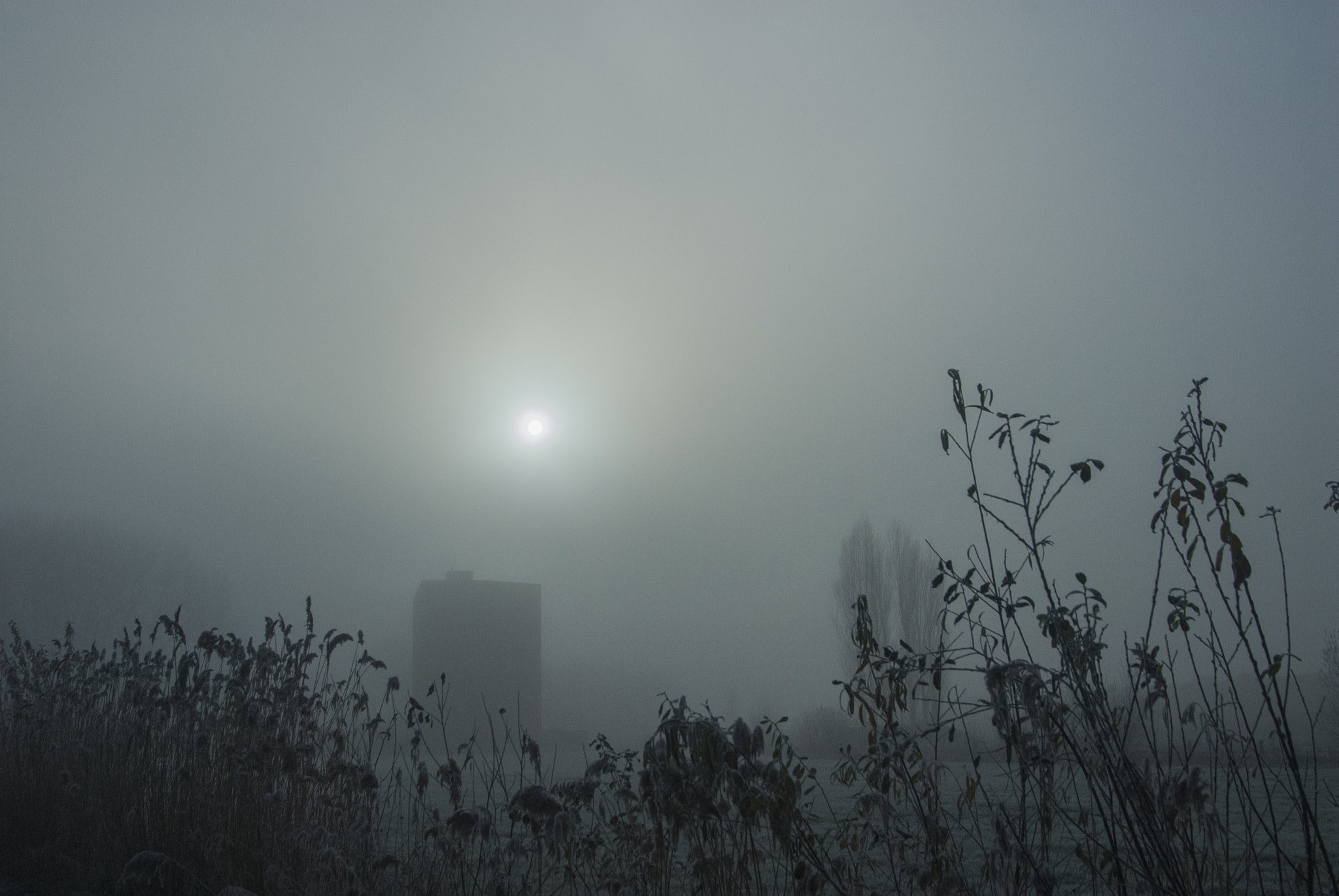 Nikon D200 sample photo. Sun on the roof photography