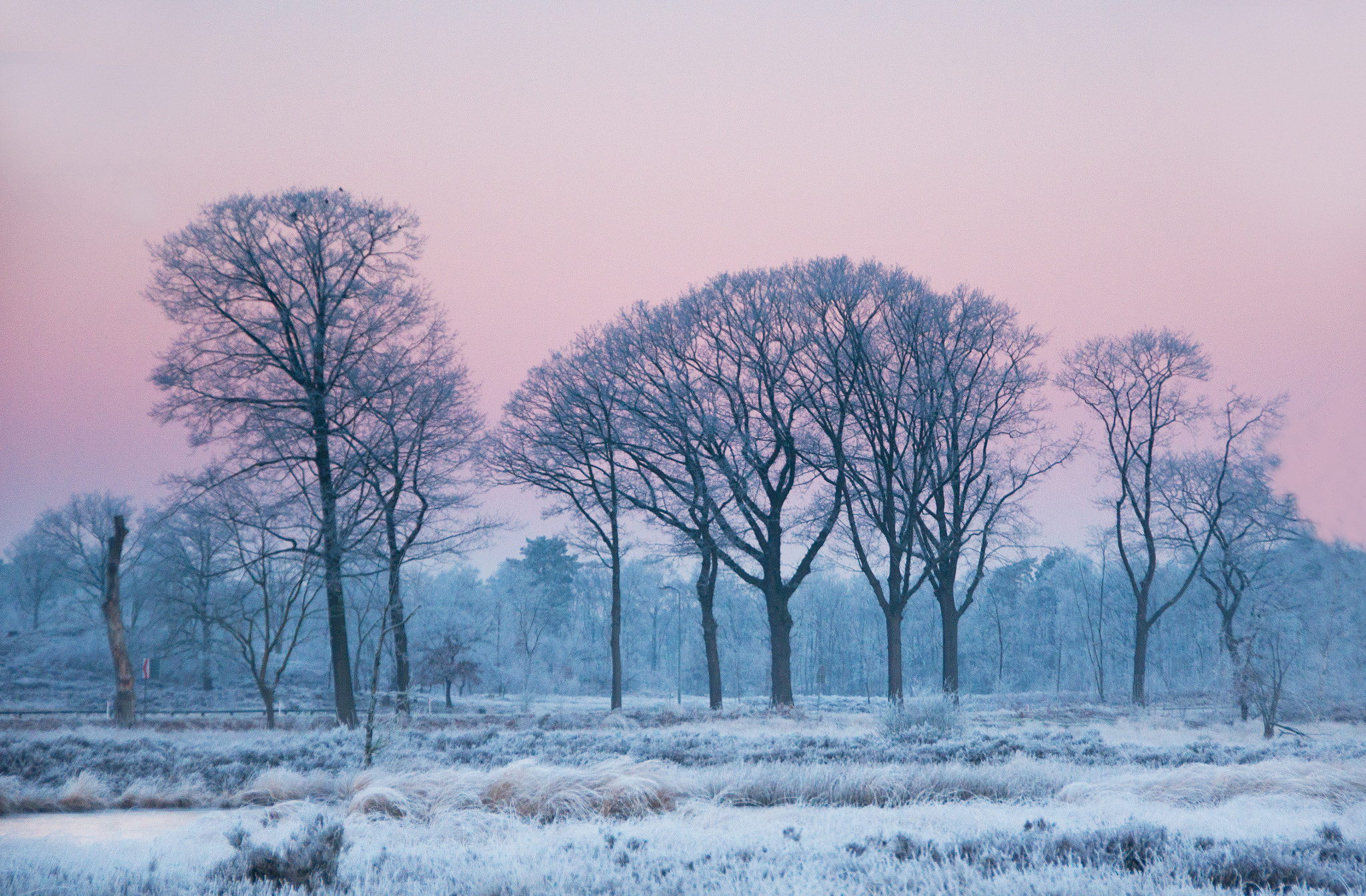 Sony Alpha DSLR-A550 + Tamron AF 28-105mm F4-5.6 [IF] sample photo. Early in the morning photography