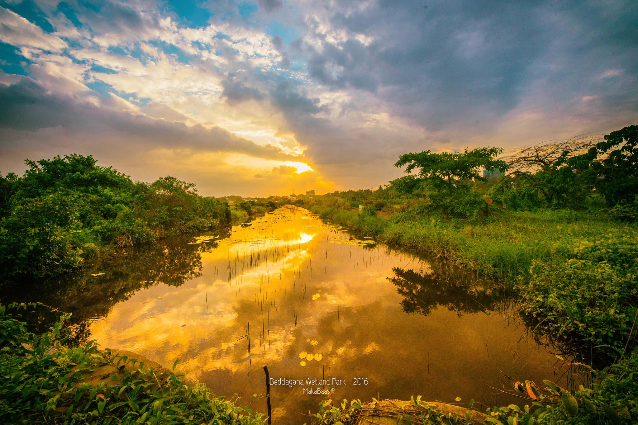 Sigma 8-16mm F4.5-5.6 DC HSM sample photo. Edit photography