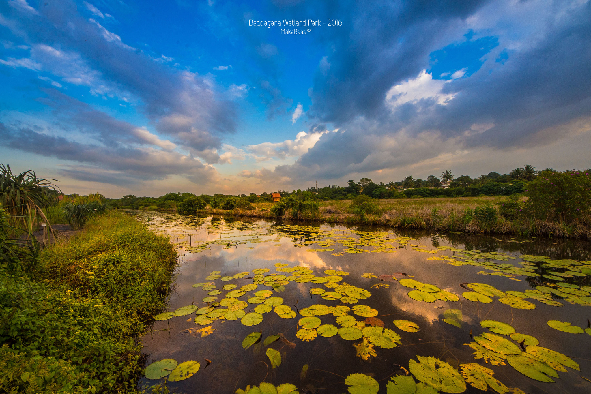 Sigma 8-16mm F4.5-5.6 DC HSM sample photo. Dsc photography