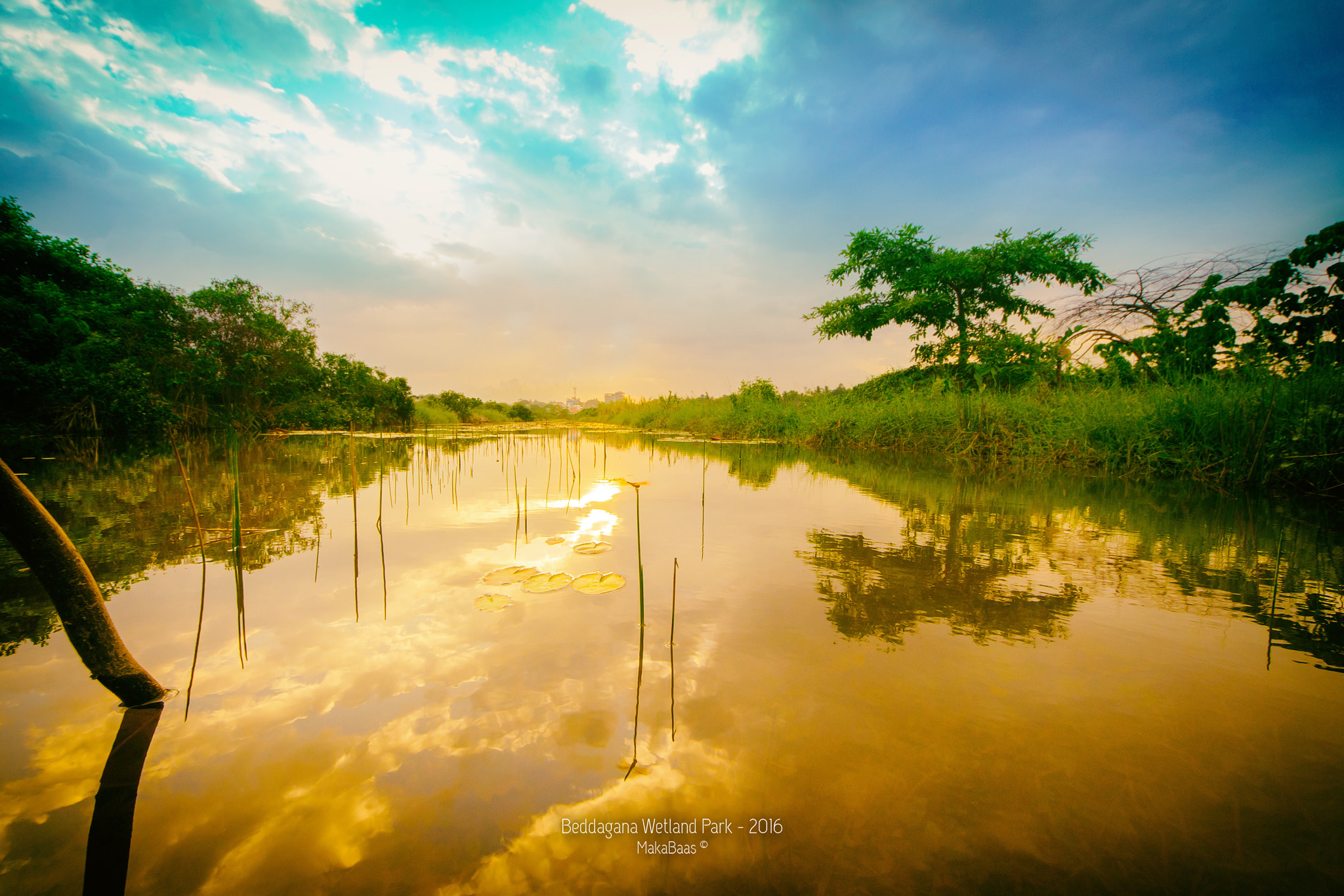 Sigma 8-16mm F4.5-5.6 DC HSM sample photo. Edit photography