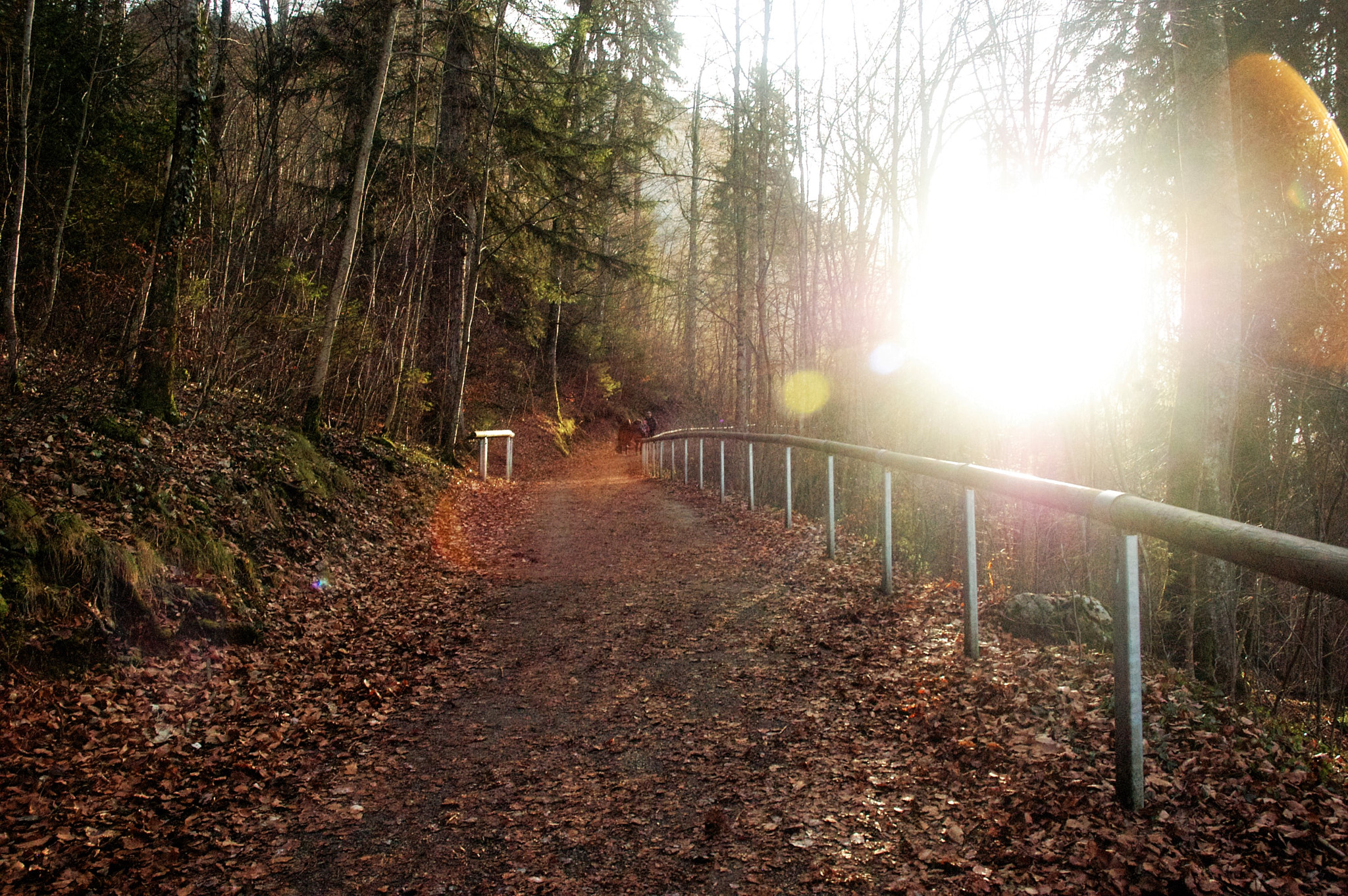 Nikon D100 sample photo. On the way to neuschwanstein castle photography