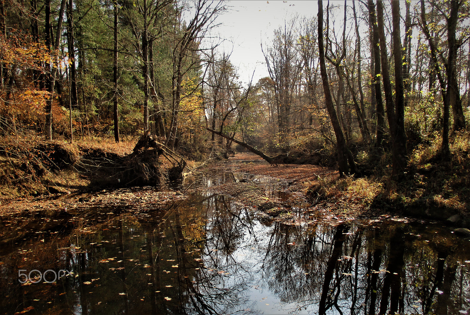 Canon PowerShot ELPH 160 (IXUS 160 / IXY 150) sample photo. Creek in autumn photography
