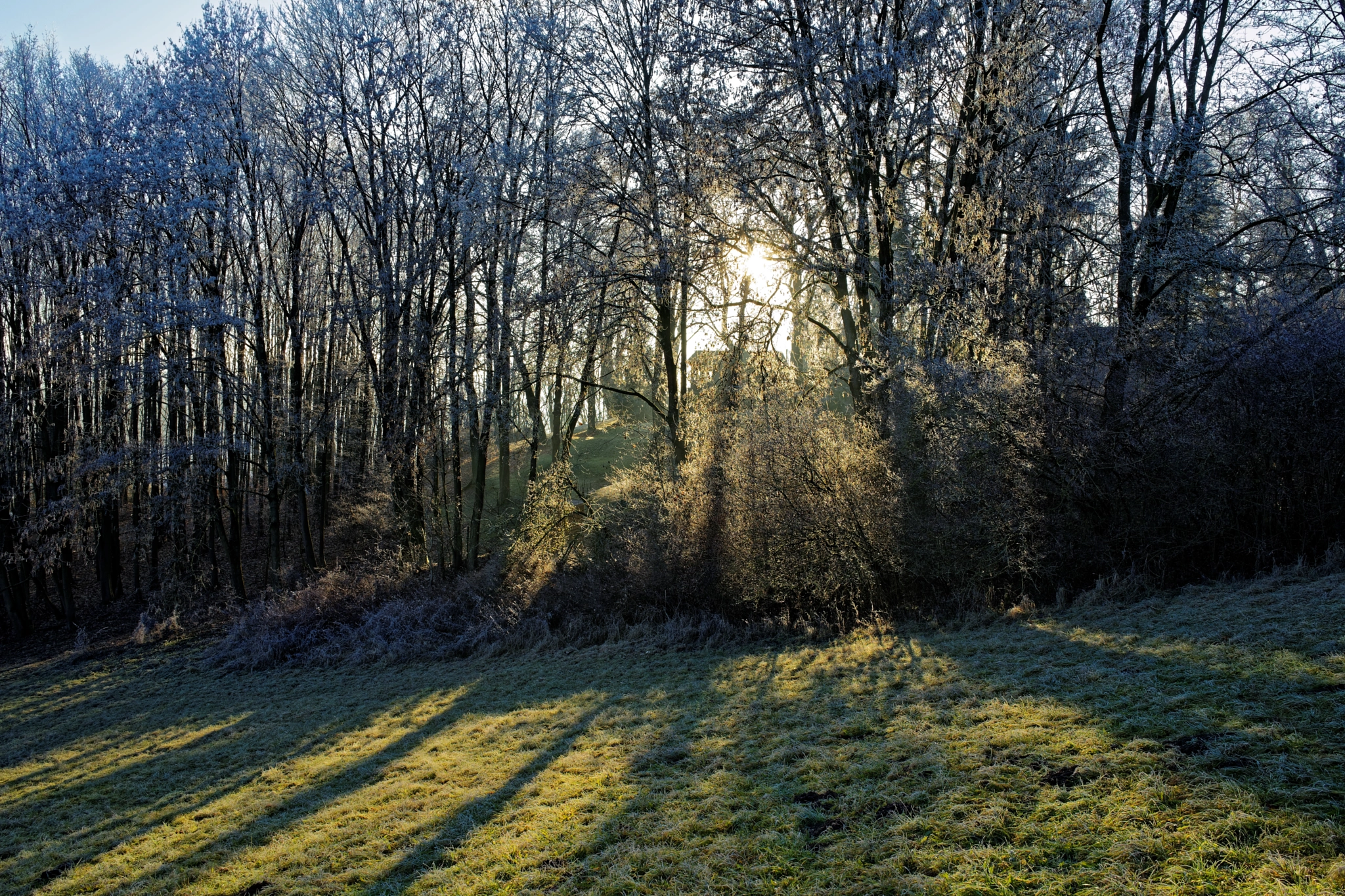 Sony a7 II + Sony FE 28mm F2 sample photo. Frozen afternoon photography