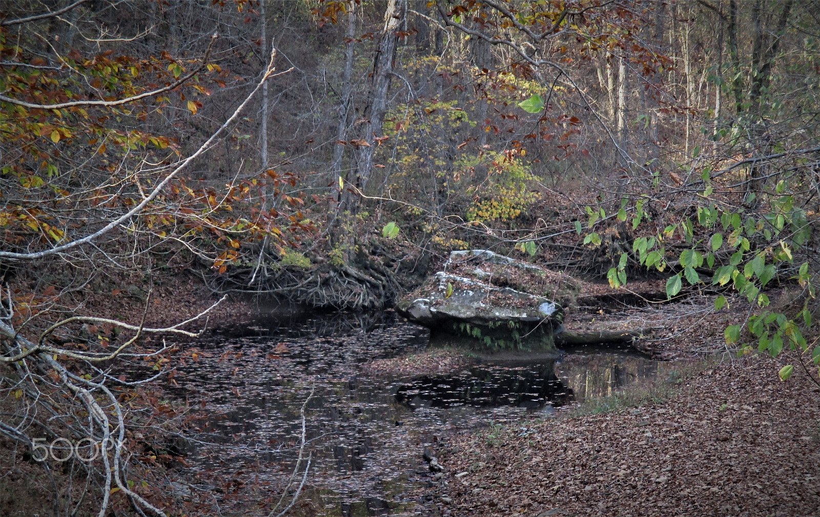 Canon PowerShot ELPH 160 (IXUS 160 / IXY 150) sample photo. Rock in the stream photography