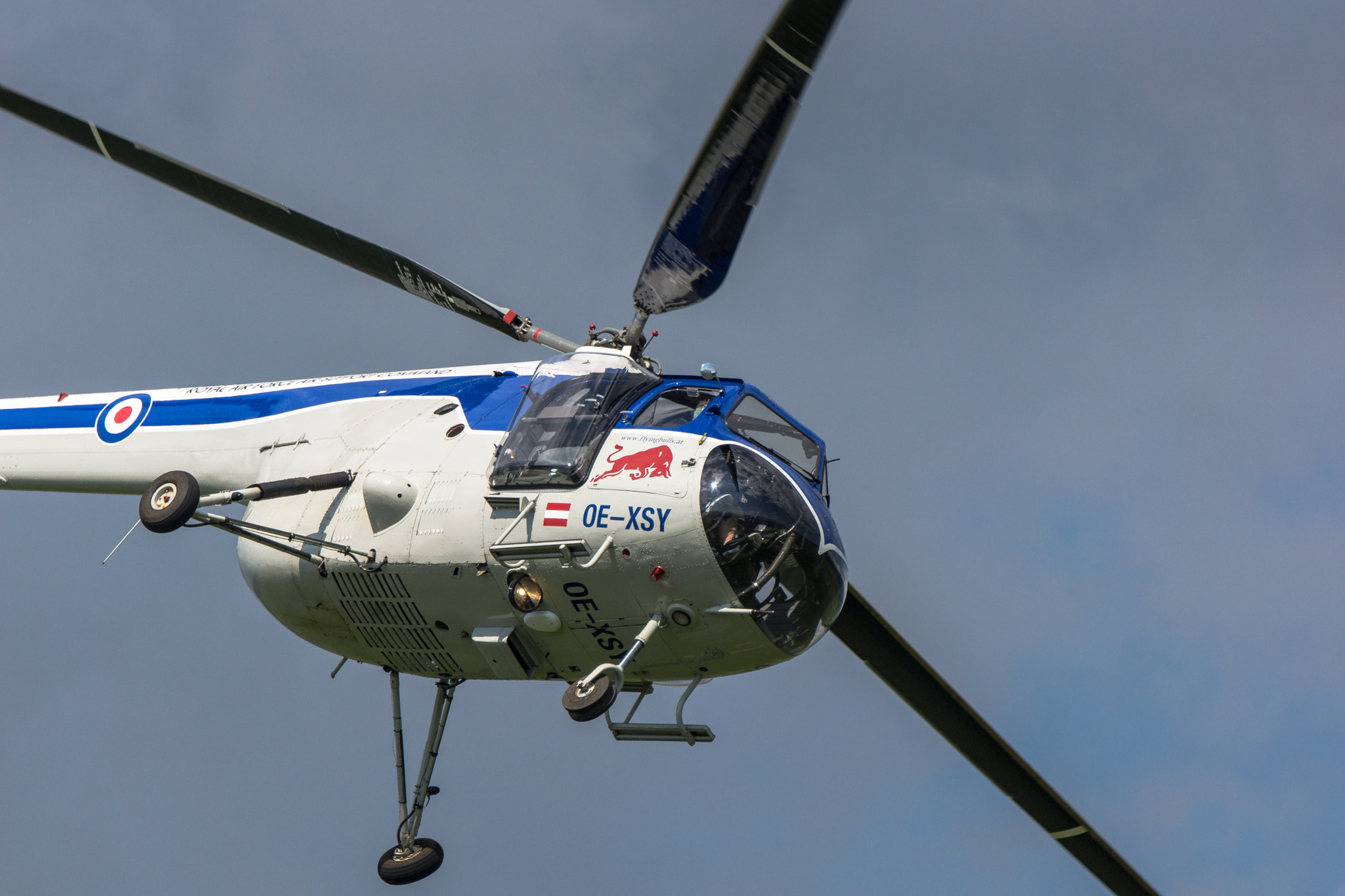 Sony 70-400mm F4-5.6 G SSM II sample photo. Flying bulls photography