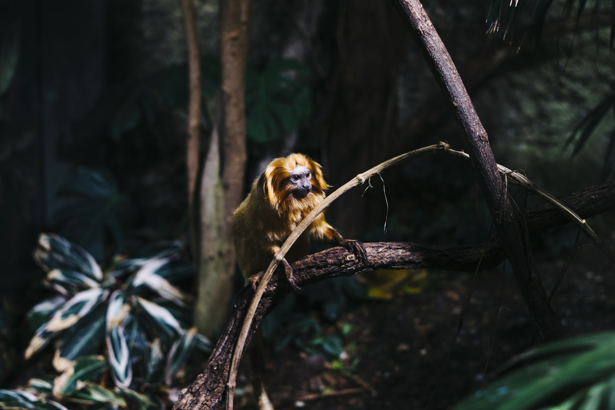 E 50mm F2 sample photo. Untitled photography