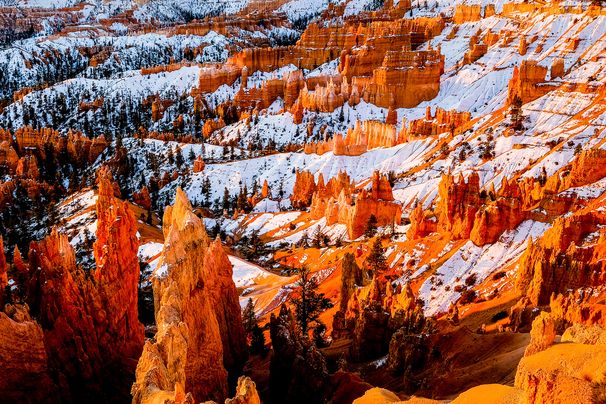 Fujifilm X-T10 + Fujifilm XF 10-24mm F4 R OIS sample photo. Bryce canyon photography