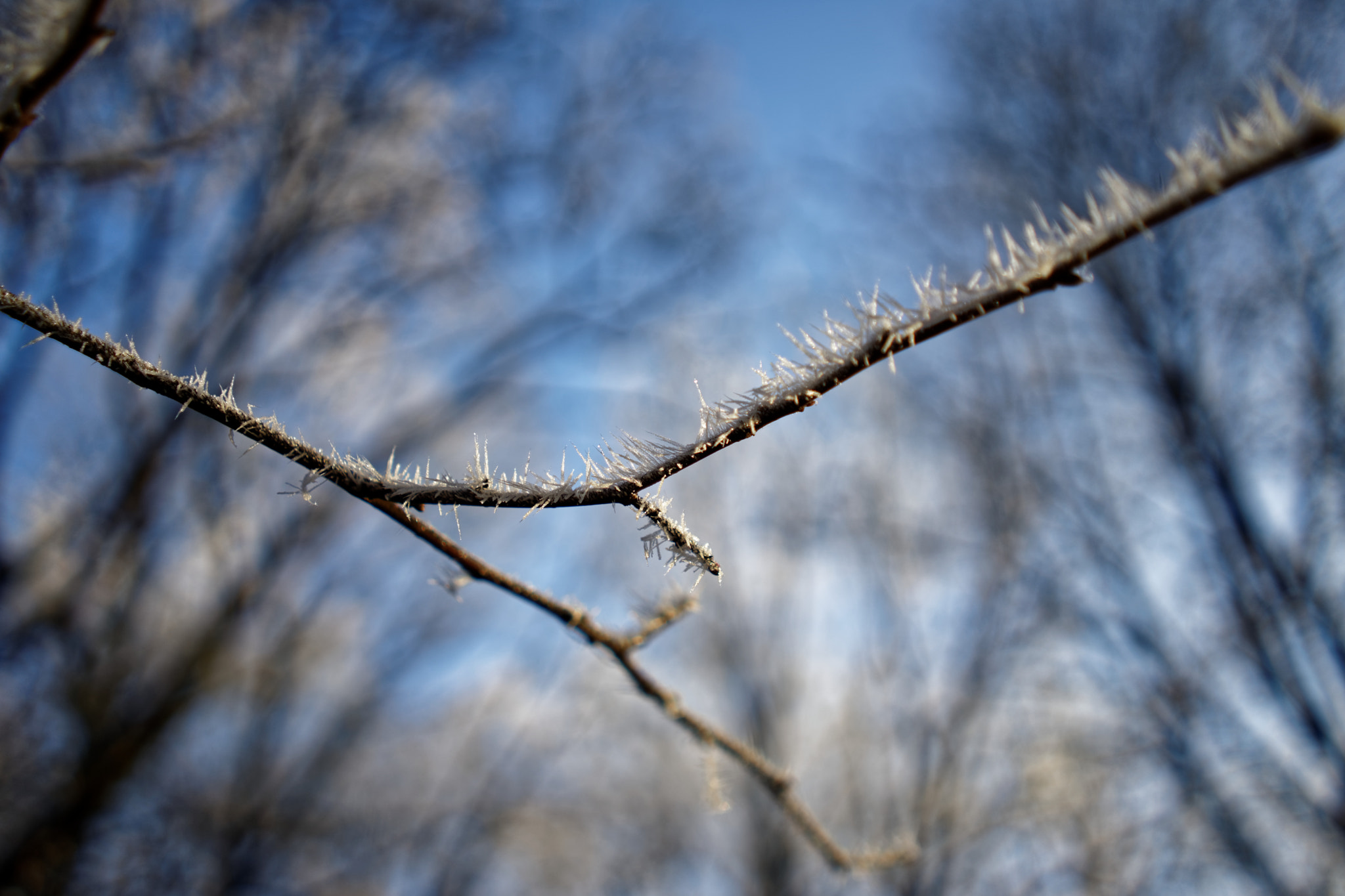 Sony a7 II + Sony FE 28mm F2 sample photo. Ice crystals photography