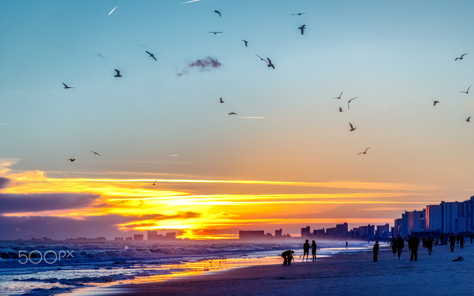 Canon EF 28-135mm F3.5-5.6 IS USM sample photo. Cherry grove sunset photography