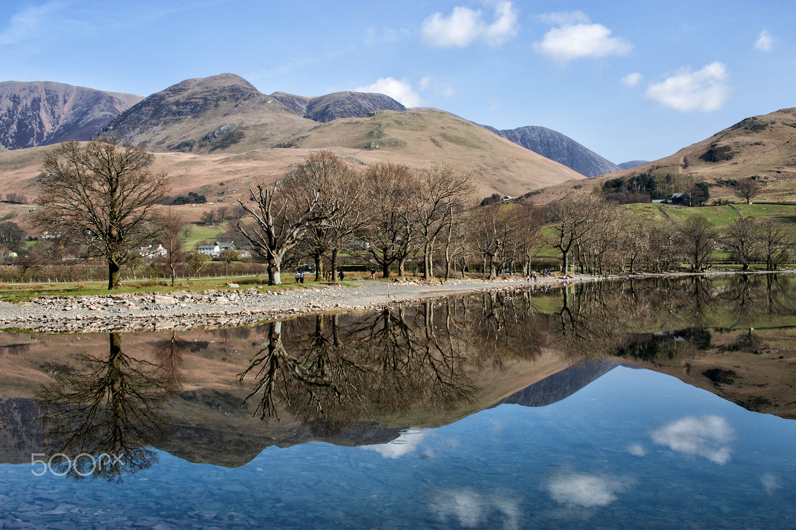 Canon EOS-1D Mark II sample photo. Buttermere trees photography