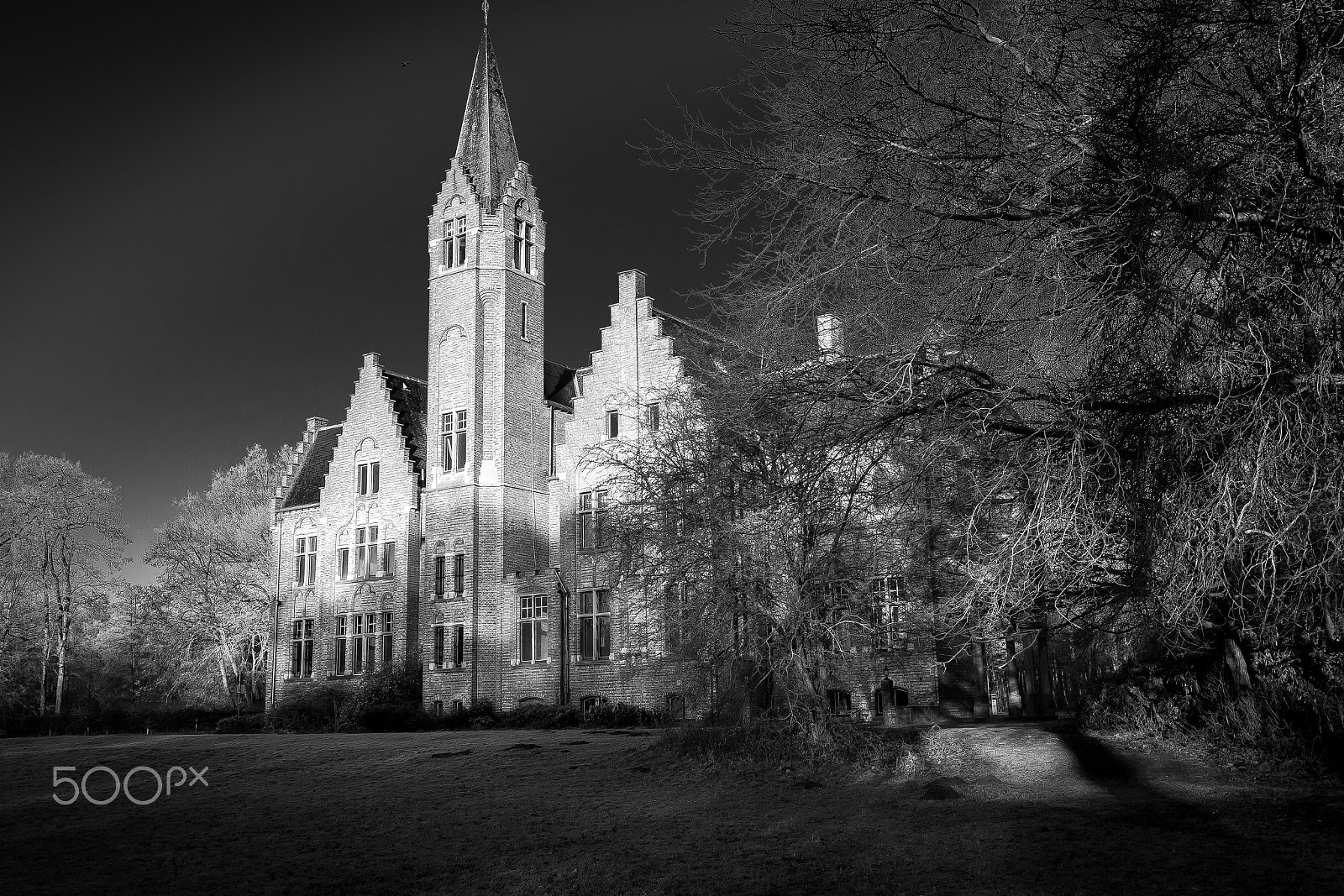 Canon EOS 7D Mark II + Sigma 20mm F1.4 DG HSM Art sample photo. Rykevelde castle photography