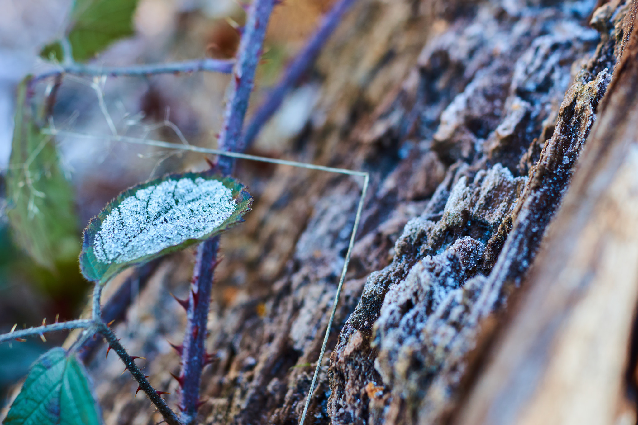 Sony SLT-A77 + Sony DT 35mm F1.8 SAM sample photo. 90° photography