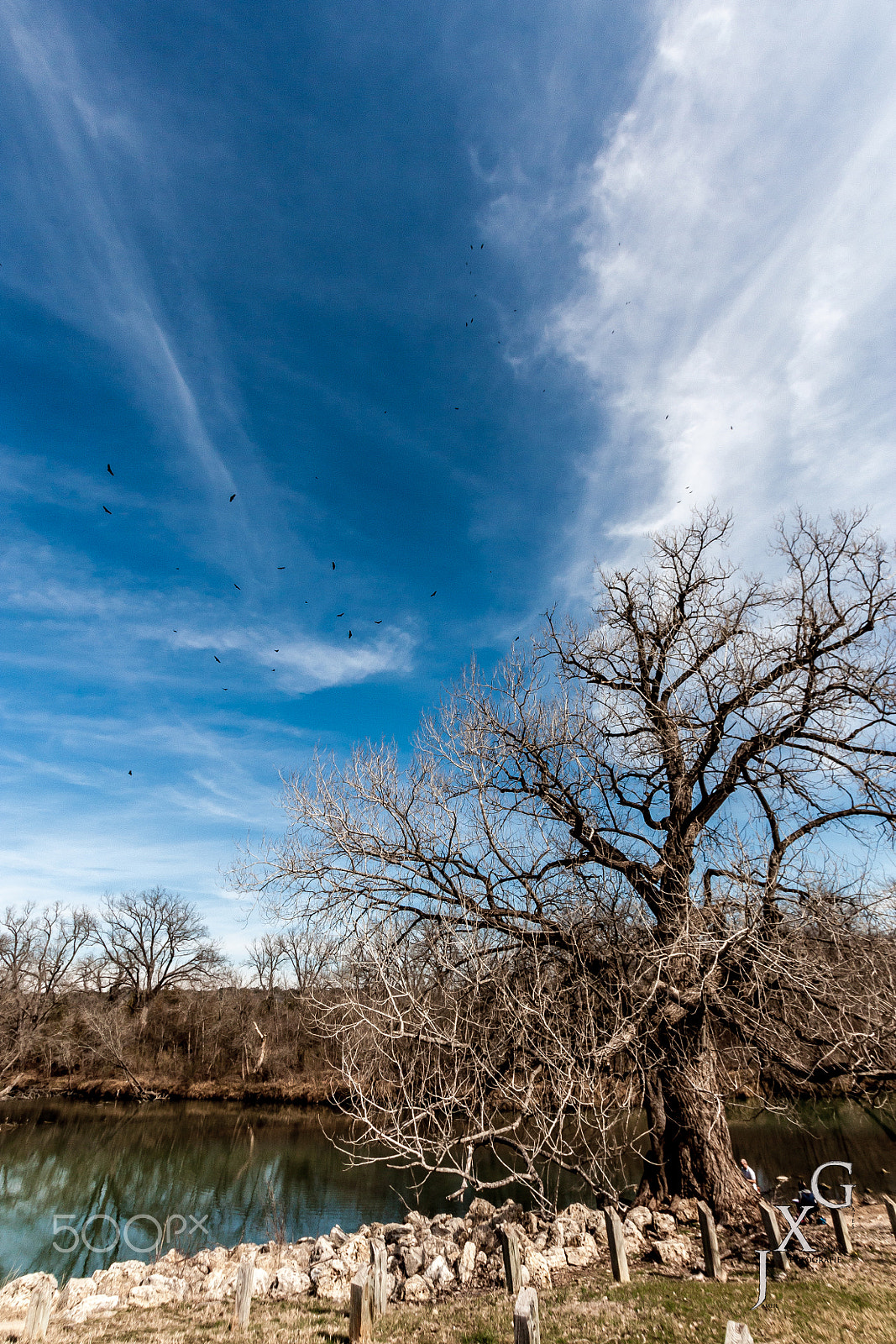 Sigma 10-20mm F3.5 EX DC HSM sample photo. Killeen texas photography