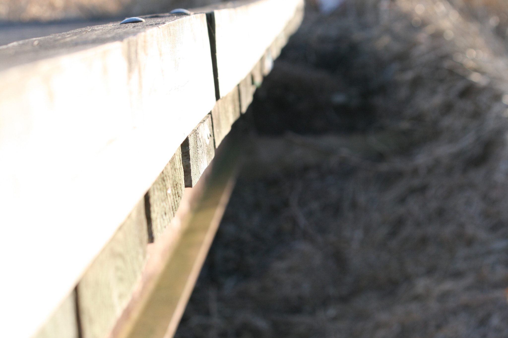 Canon EF-S 55-250mm F4-5.6 IS sample photo. The link photography
