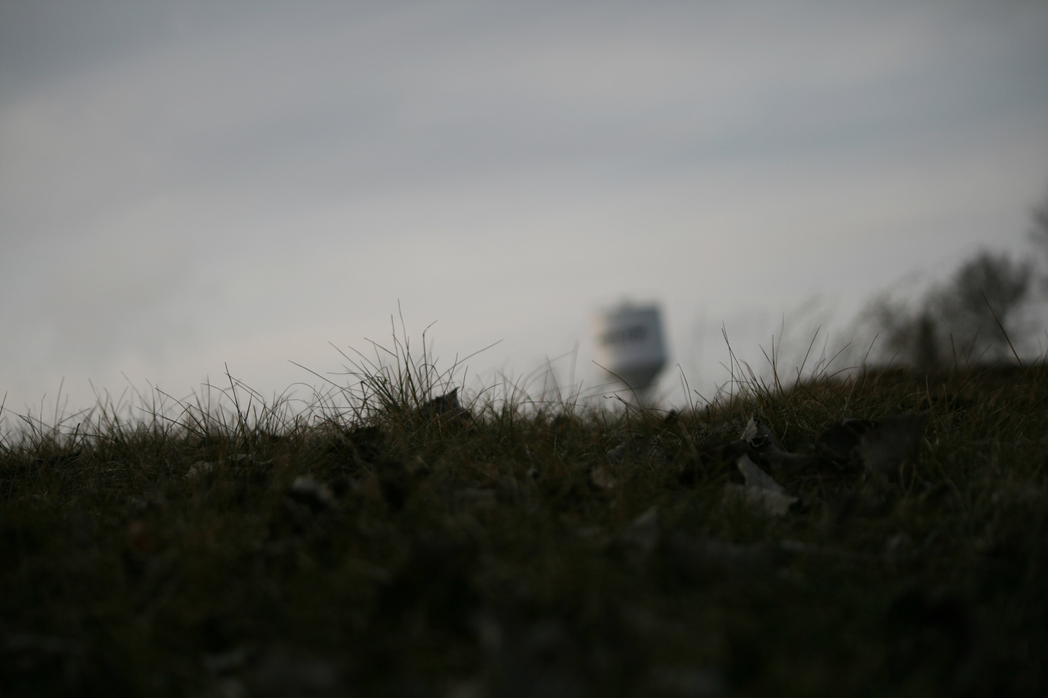 Canon EF-S 55-250mm F4-5.6 IS sample photo. The pasture to the water tower photography
