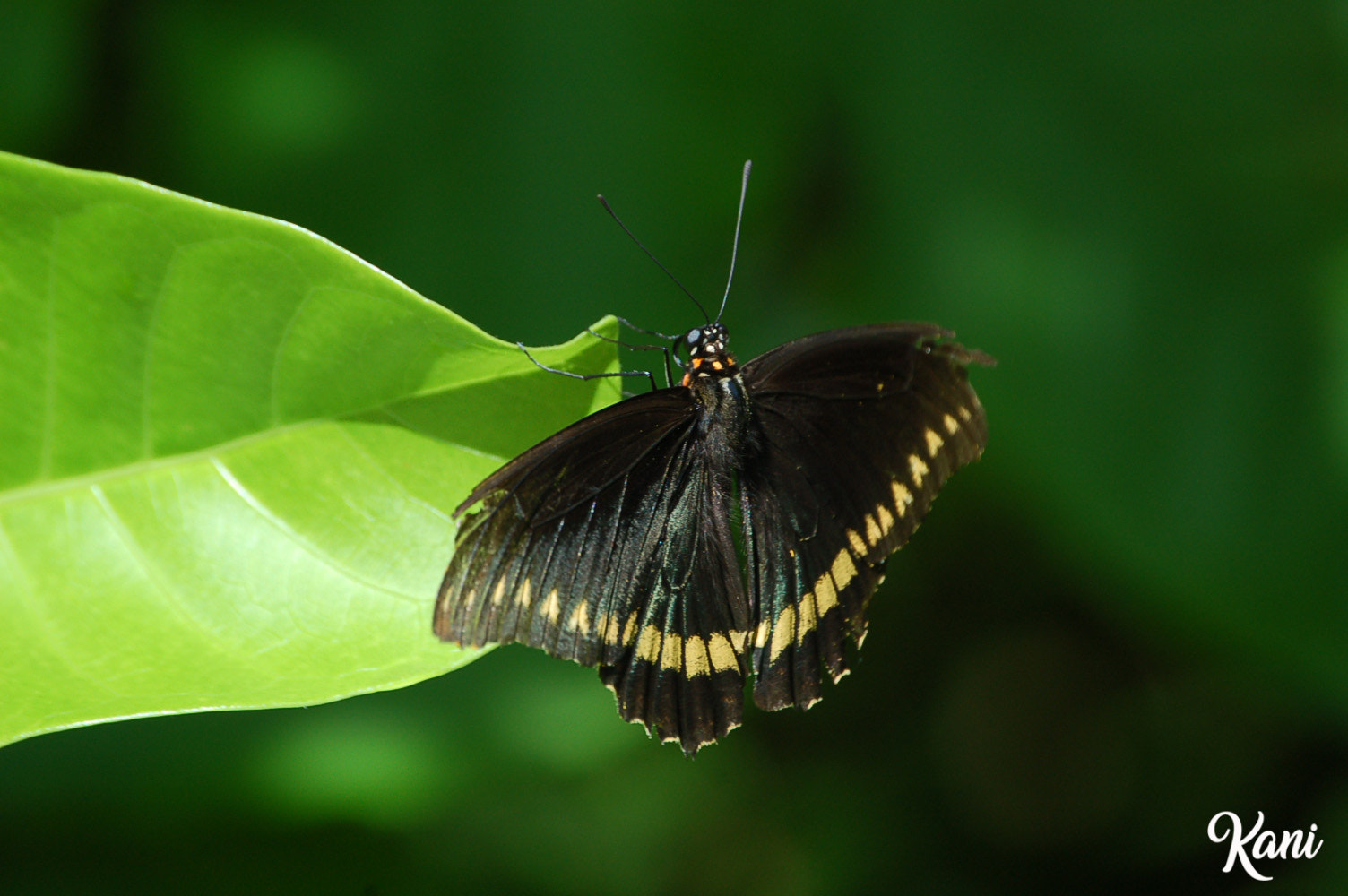 Nikon D50 sample photo. 16.jpg photography