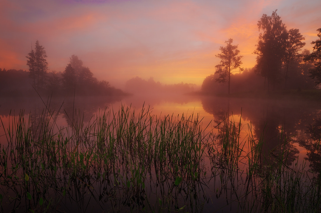 Samyang 14mm F2.8 ED AS IF UMC sample photo. Morning secrets photography