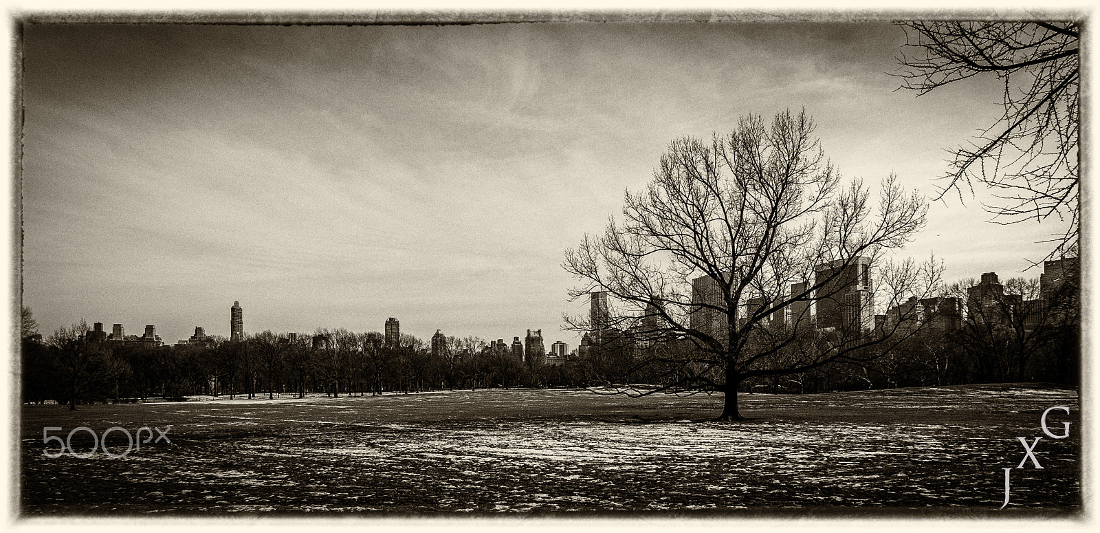 Sigma 10-20mm F3.5 EX DC HSM sample photo. Central park photography