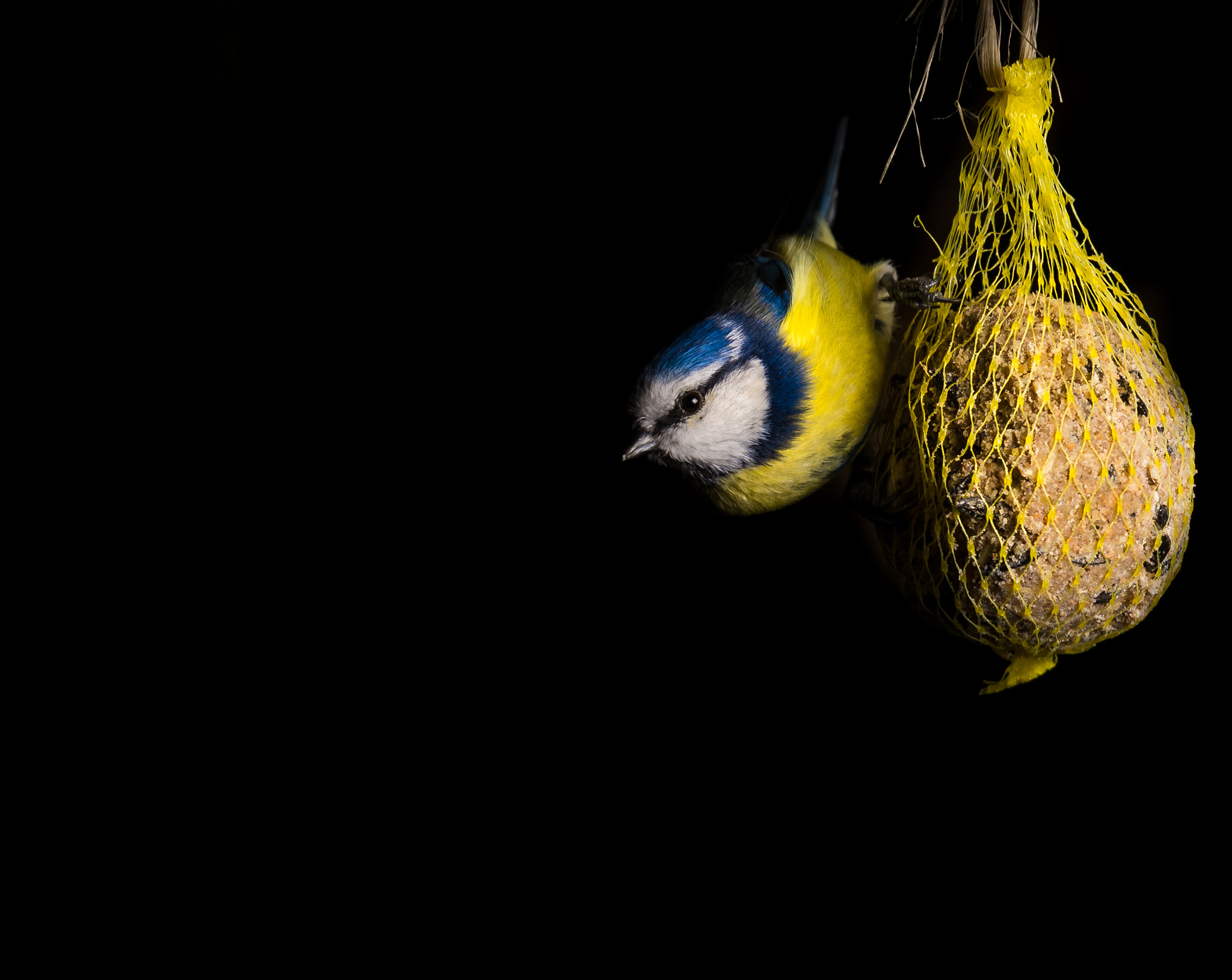 Nikon AF-S Nikkor 400mm F2.8G ED VR II sample photo. It´s all mine photography