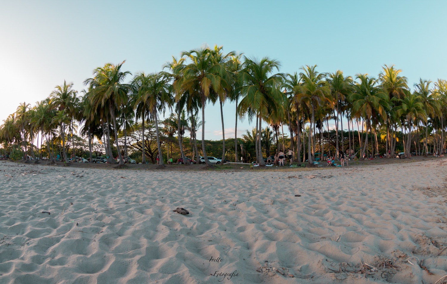 Canon EF 8-15mm F4L Fisheye USM sample photo