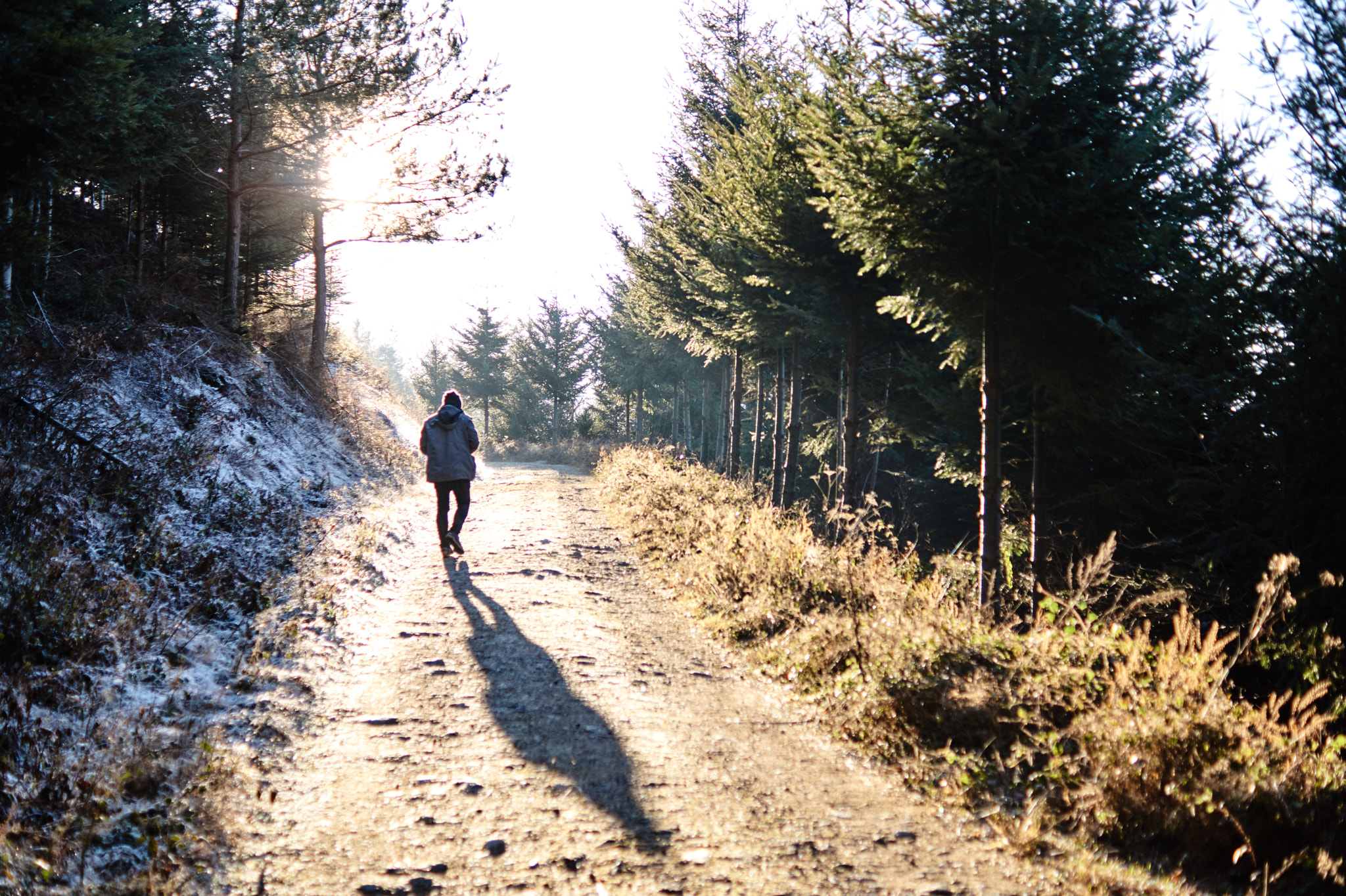 Sony SLT-A77 sample photo. Walk in the sun photography