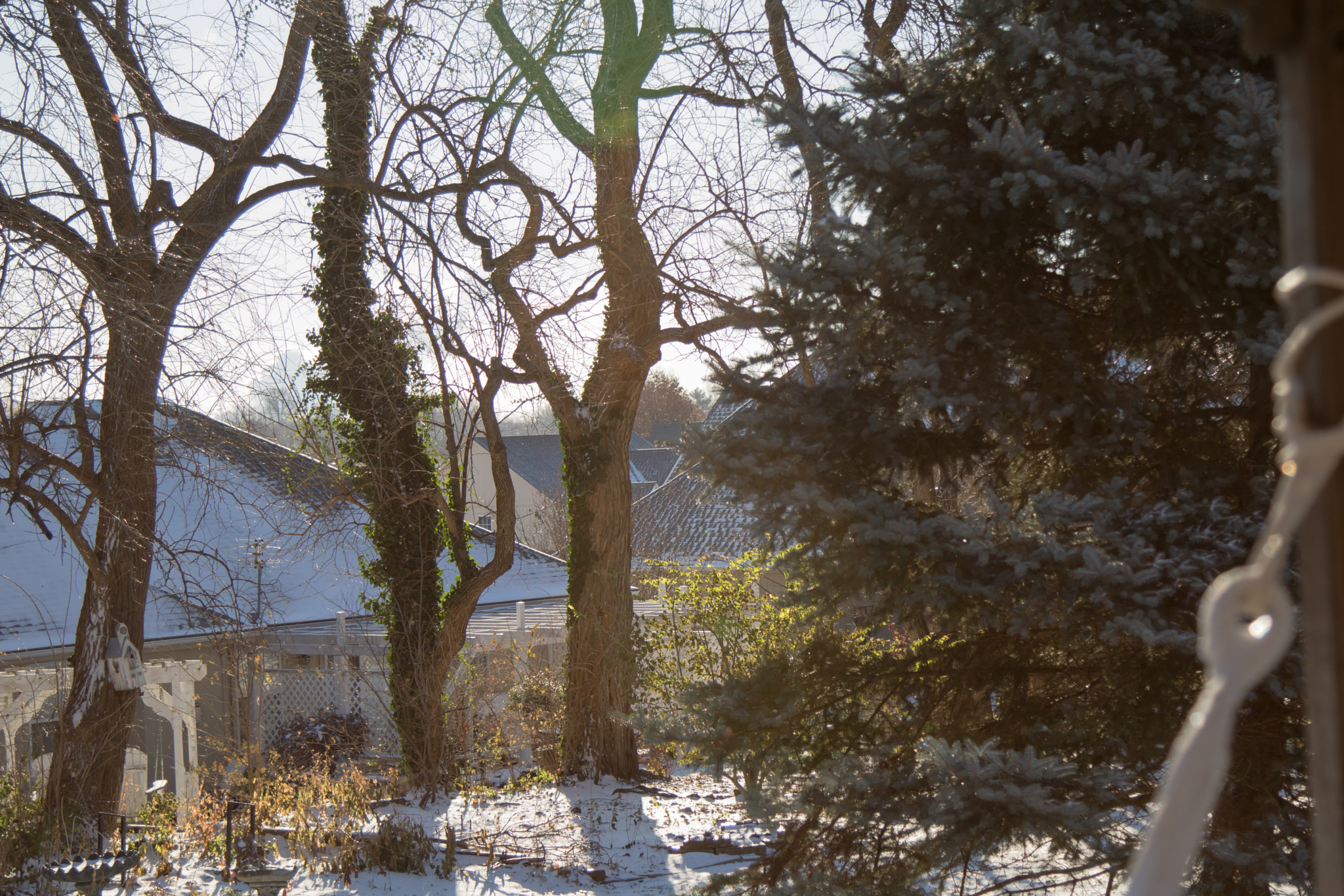 Canon EOS 750D (EOS Rebel T6i / EOS Kiss X8i) sample photo. Suburban winter photography