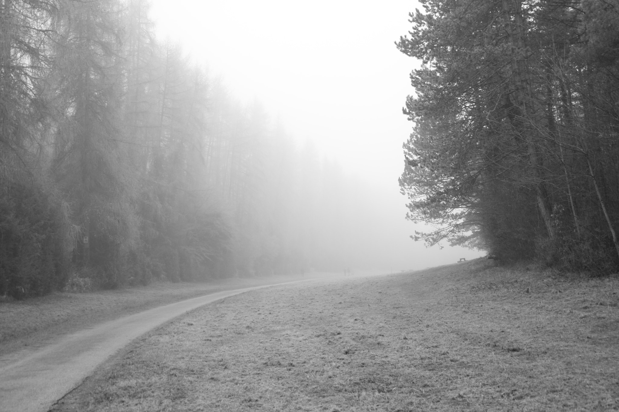 Canon EOS 1000D (EOS Digital Rebel XS / EOS Kiss F) sample photo. Foggy day photography