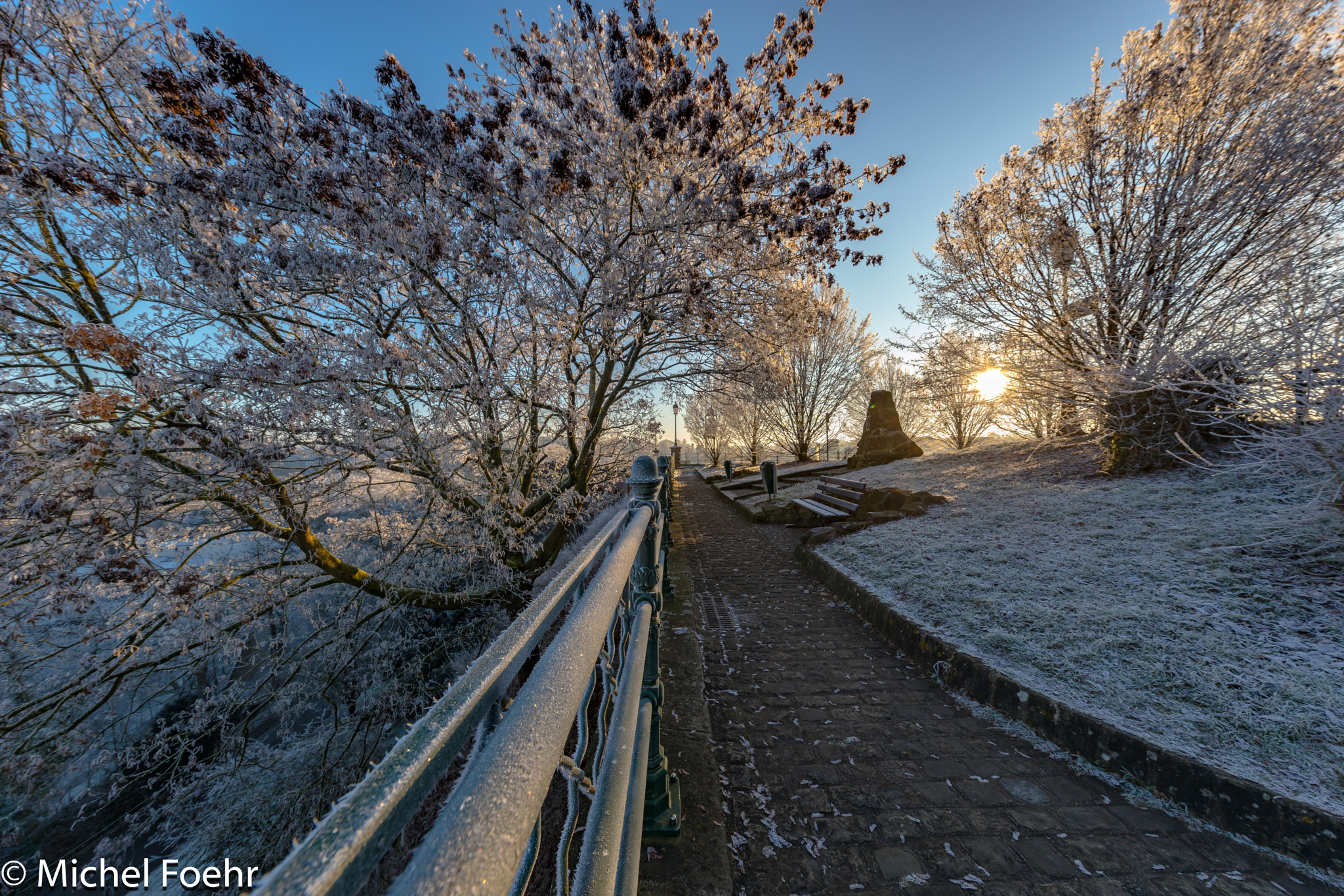 Canon EF 11-24mm F4L USM sample photo. Frosty trees photography