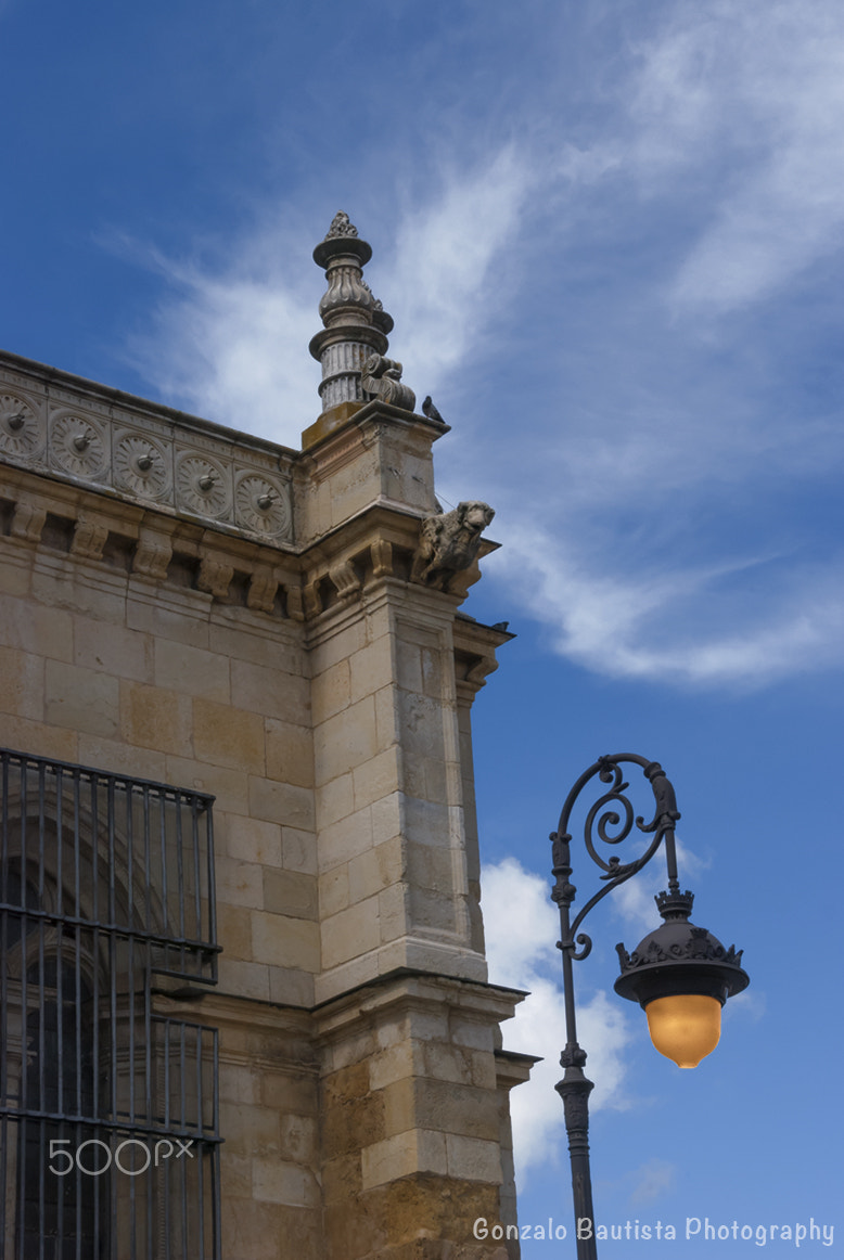 Nikon D40X sample photo. The streetlight of león photography