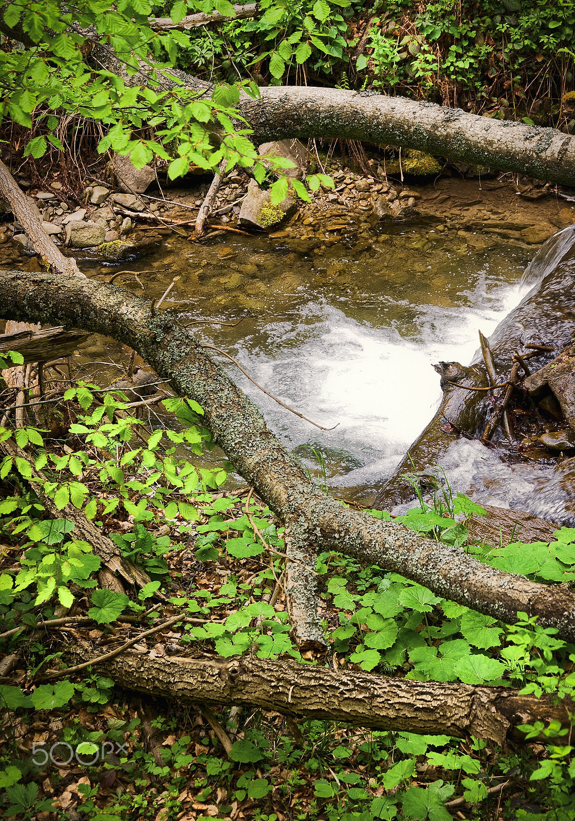 Panasonic Lumix DMC-G7 sample photo. Creek photography