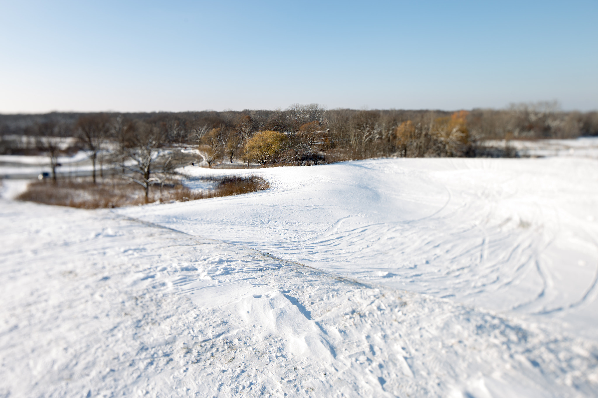 Canon TS-E 24.0mm f/3.5 L II sample photo. Sled hill photography