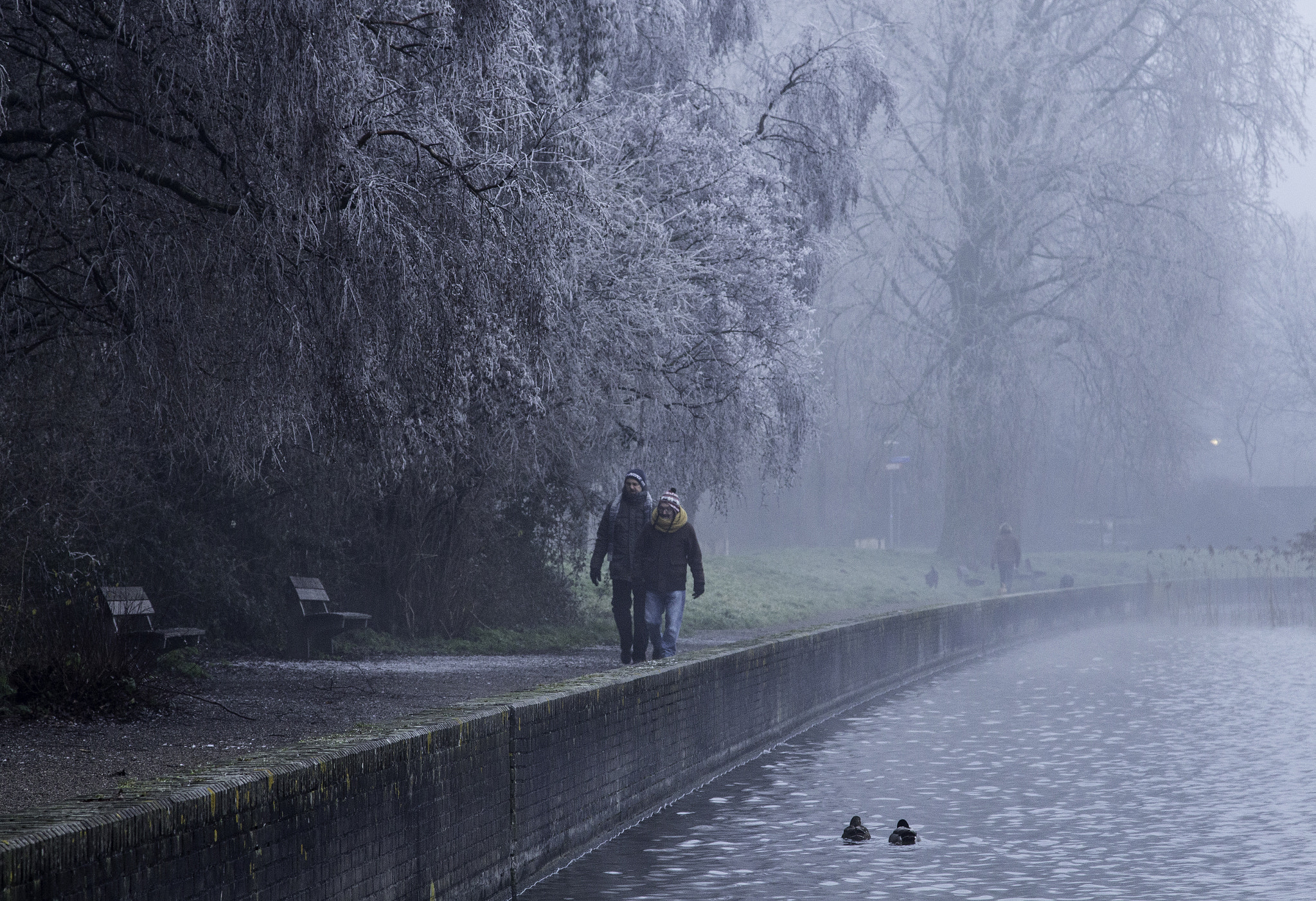 Canon EOS 650D (EOS Rebel T4i / EOS Kiss X6i) sample photo. Foggy cold photography