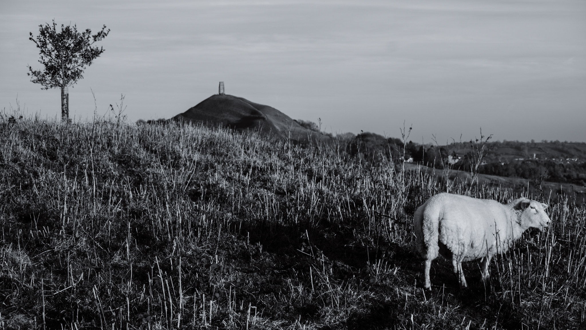 Canon EOS M3 sample photo. Hill sunset photography