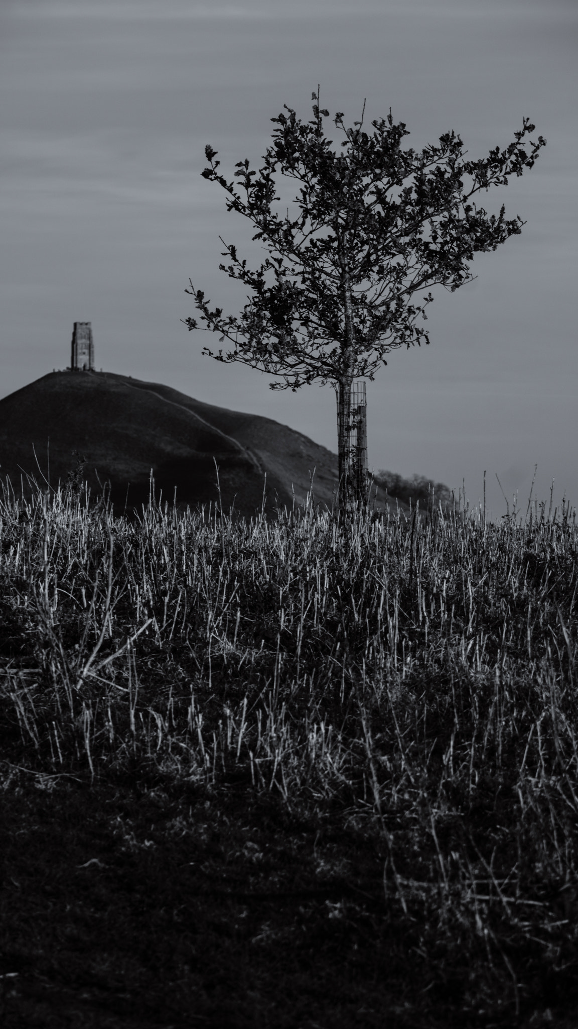 Canon EOS M3 sample photo. Hill sunset photography