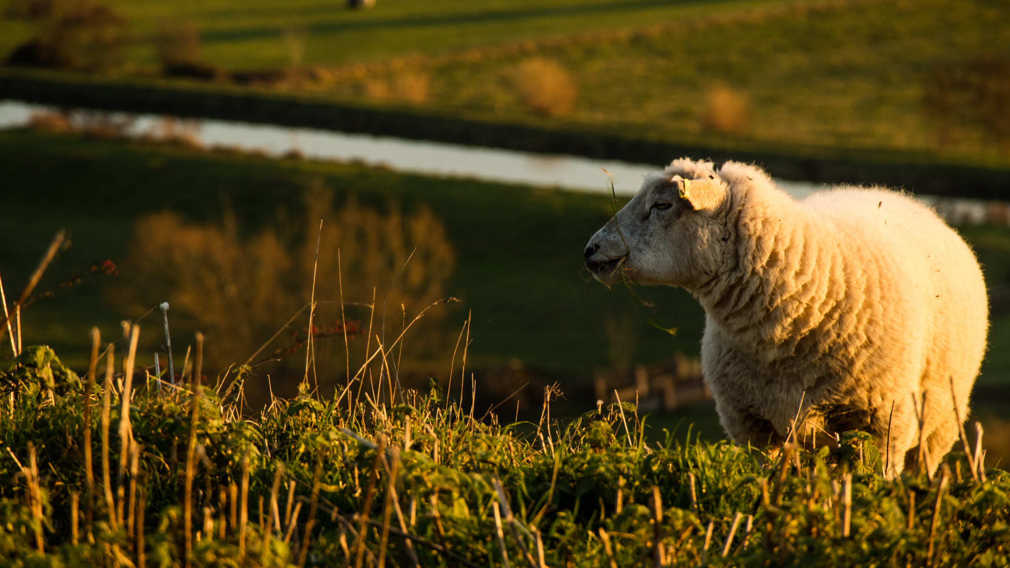 Canon EOS M3 sample photo. Hill sunset photography