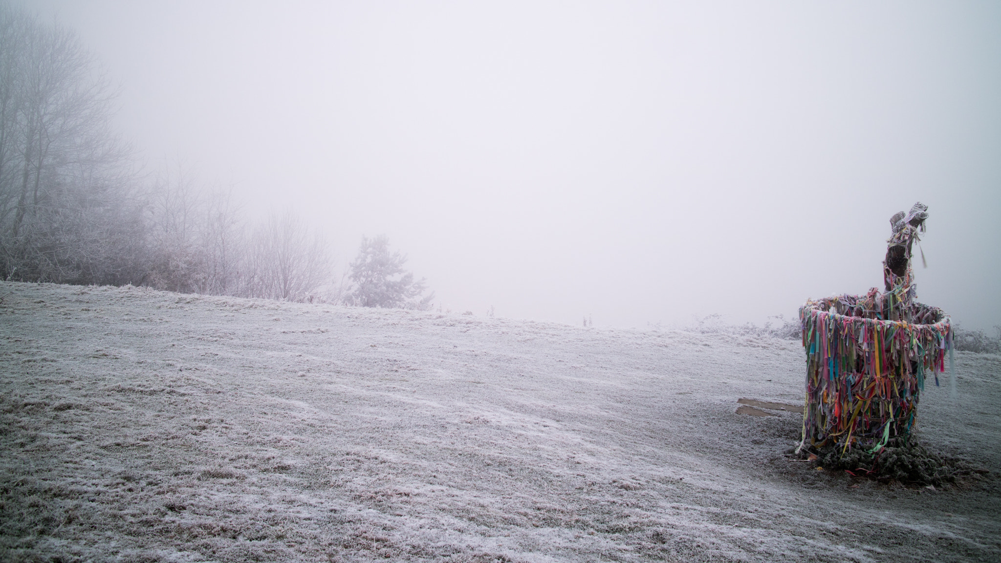 Canon EOS M3 + Canon EF-M 22mm F2 STM sample photo. Frosty morning photography