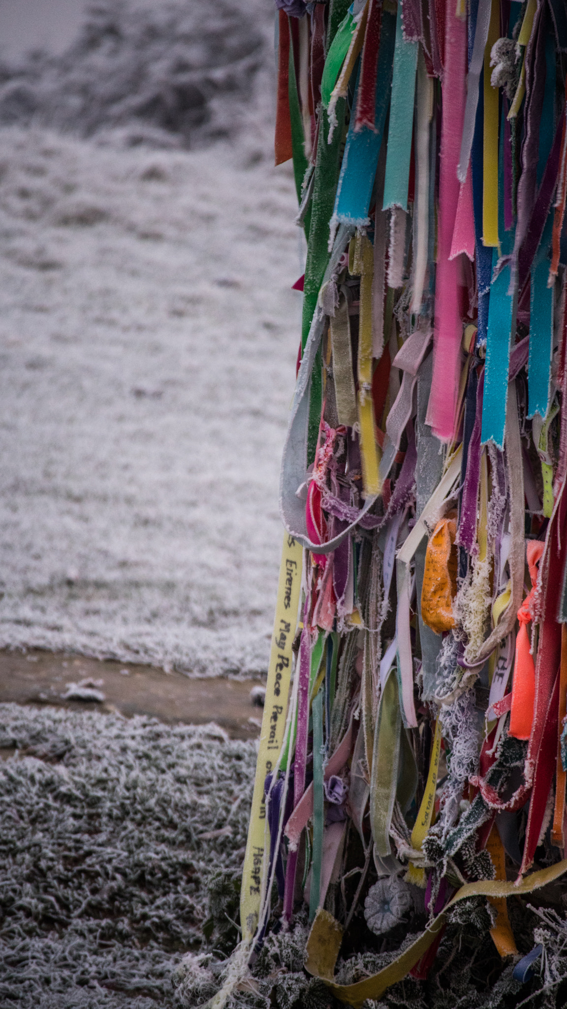 Canon EOS M3 sample photo. Frosty morning photography