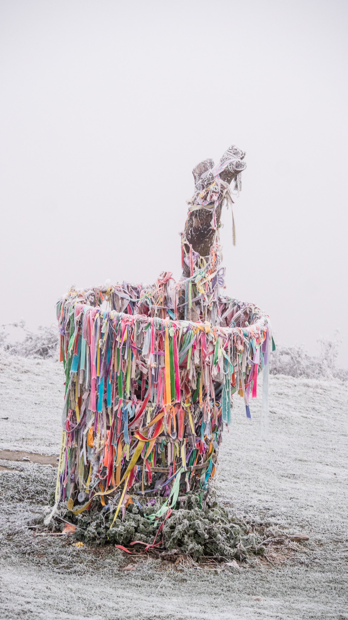 Canon EOS M3 sample photo. Frosty morning photography