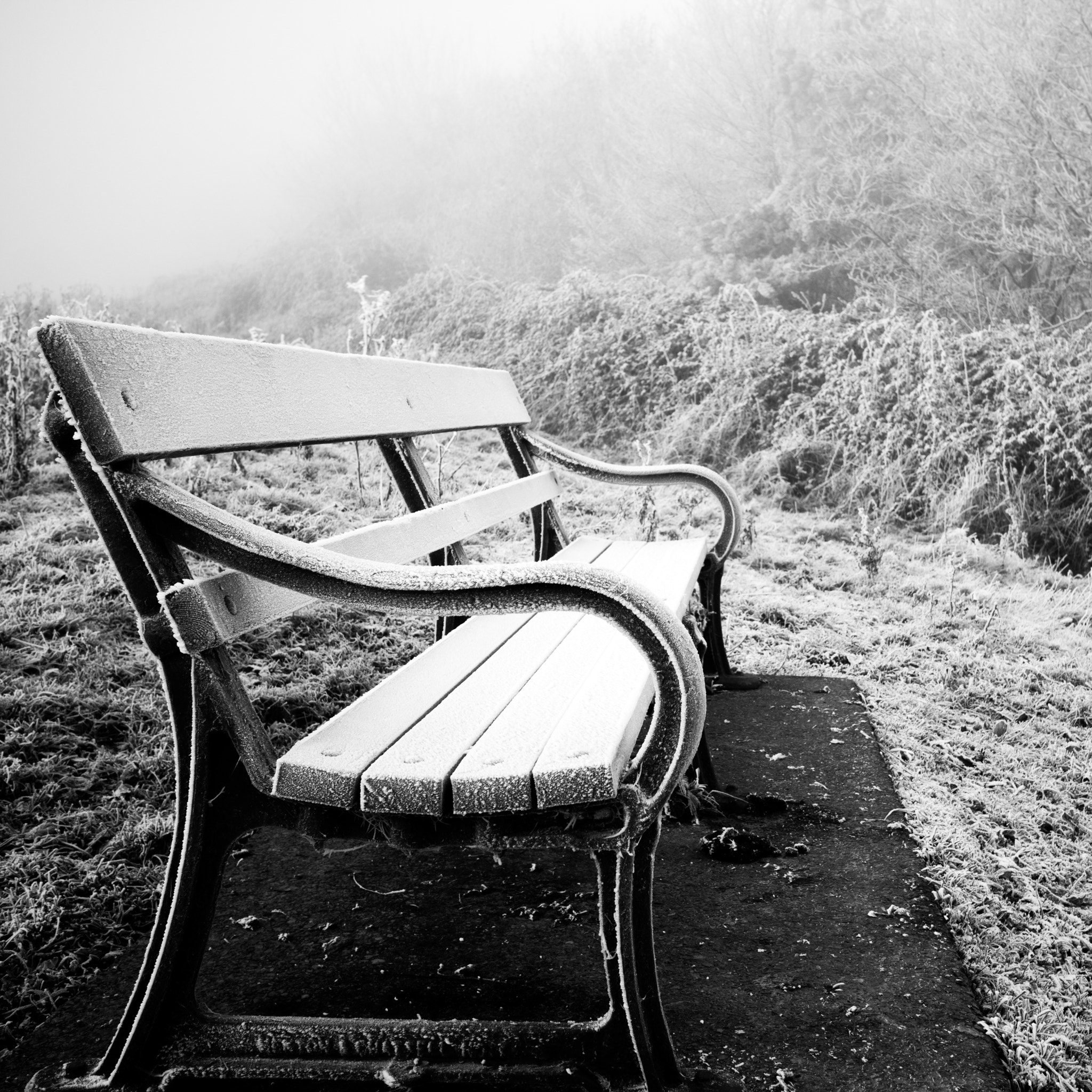 Canon EOS M3 sample photo. Frosty morning photography