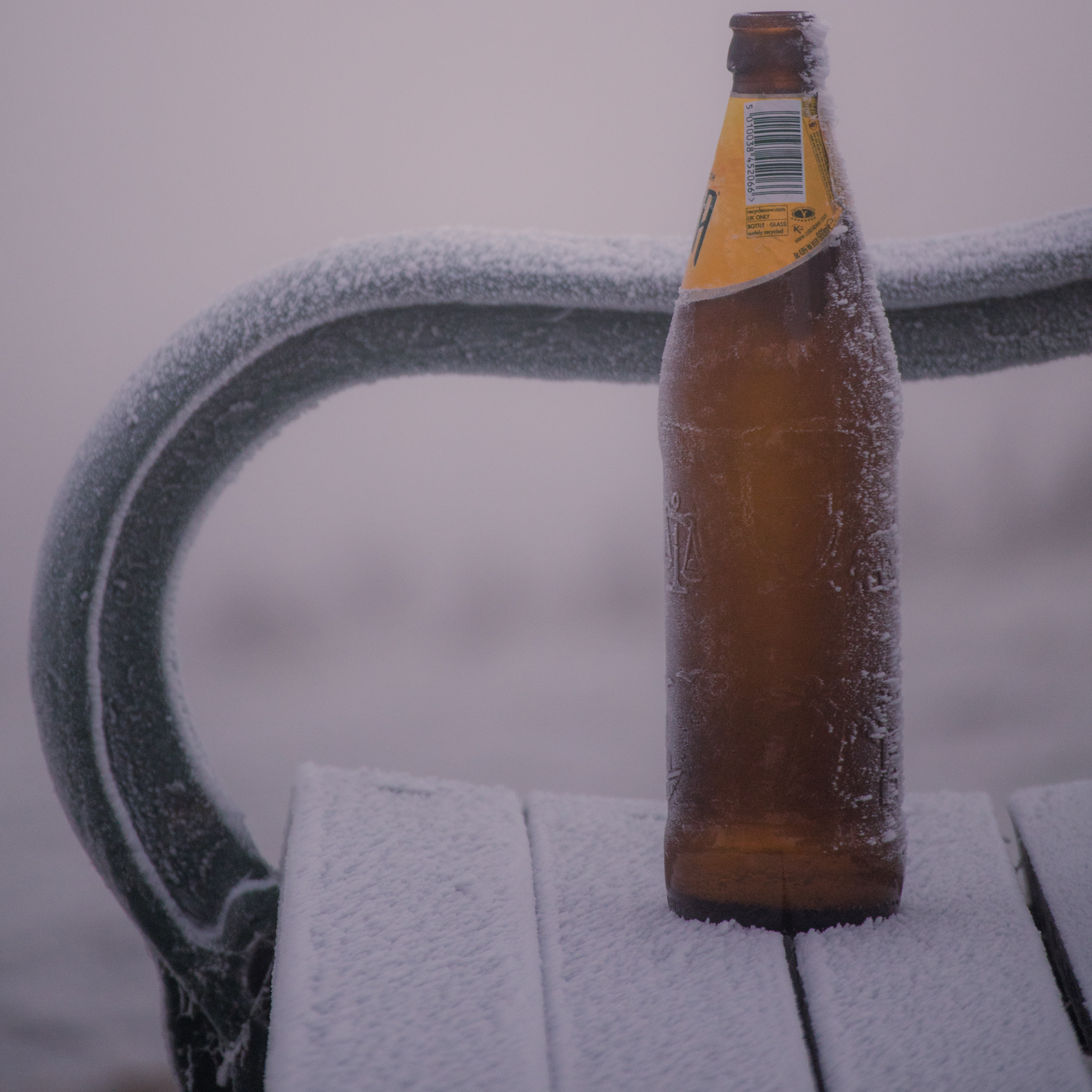 Canon EOS M3 sample photo. Frosty morning photography