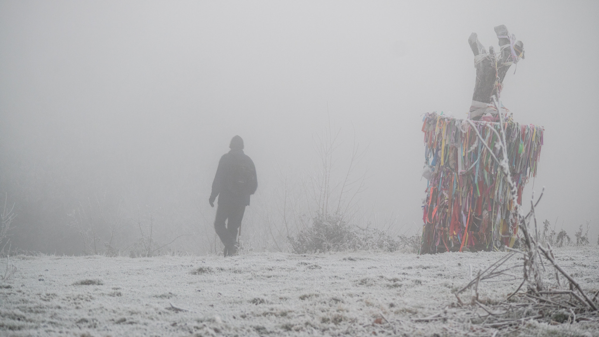 Canon EOS M3 sample photo. Frosty morning photography
