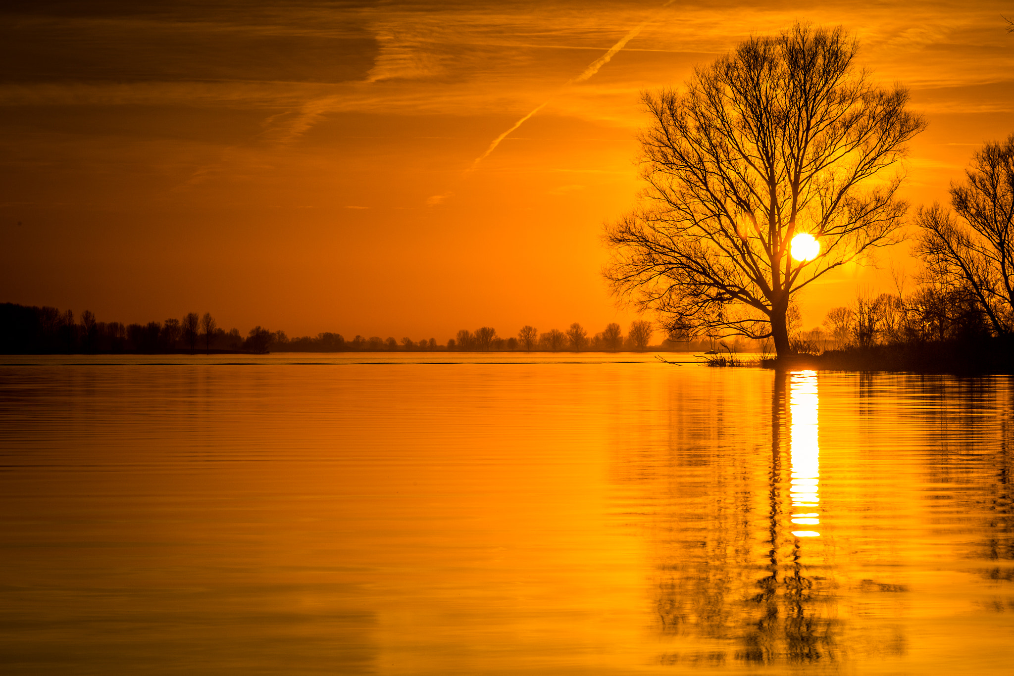 Sigma 24-105mm f/4 DG OS HSM | A sample photo. Orange sunset photography